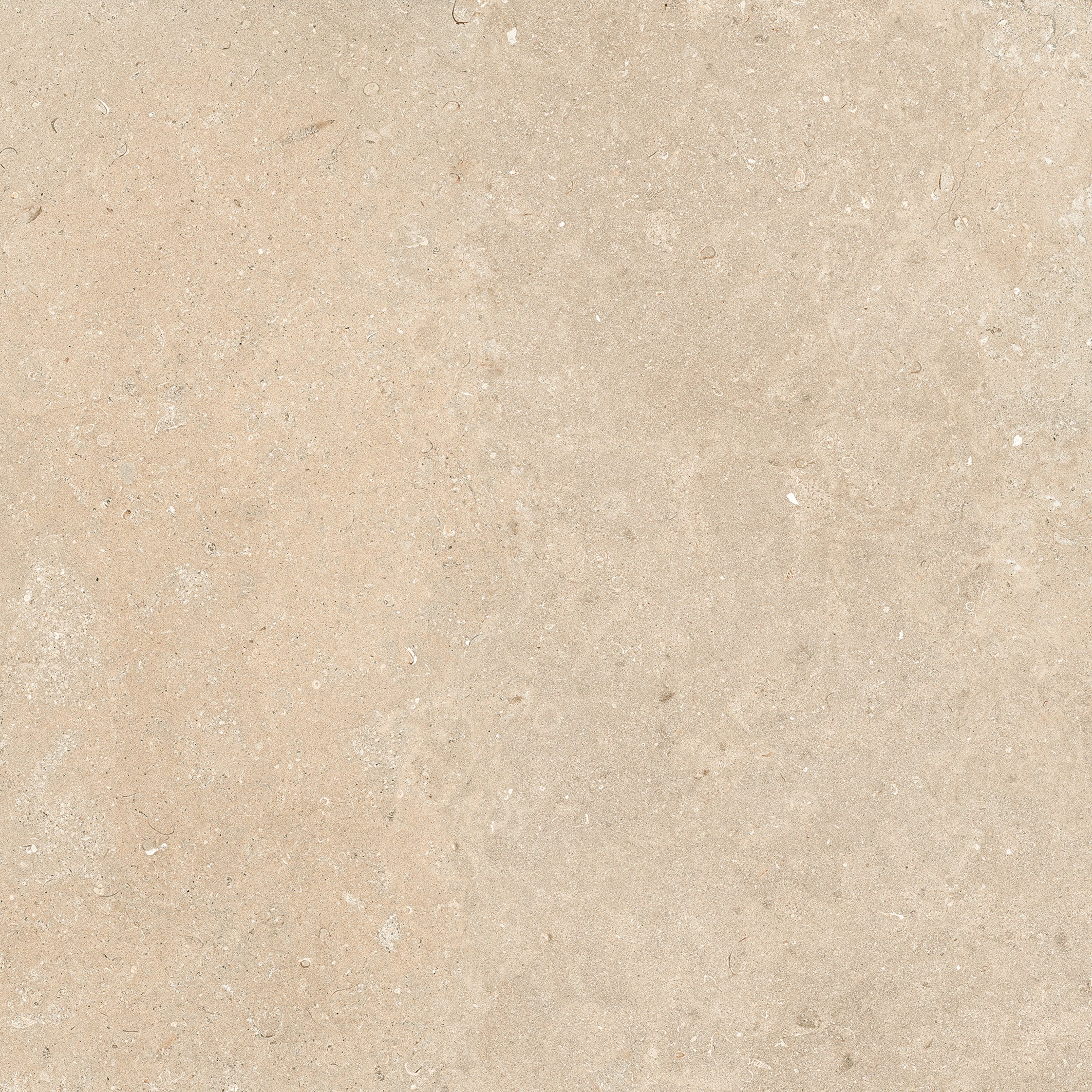 Stone Dordogne 120x120