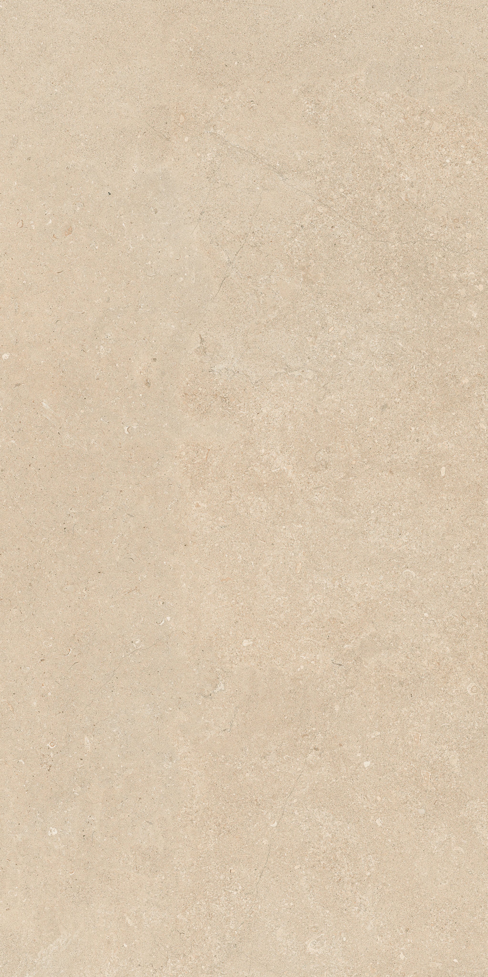 Stone Dordogne 60x120