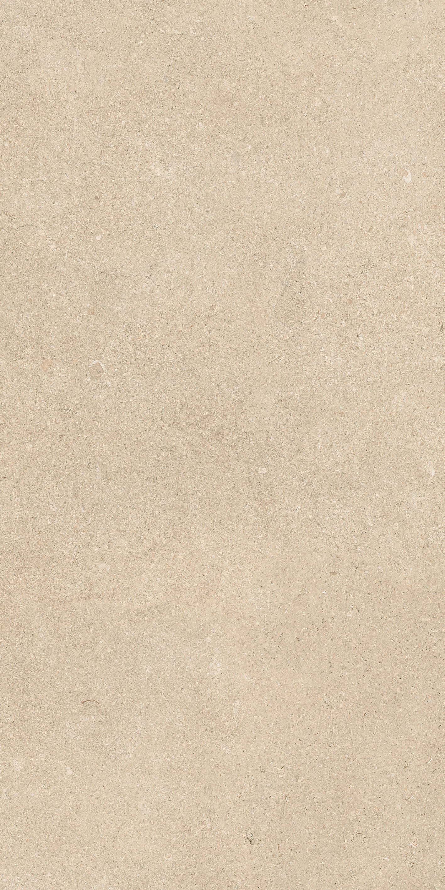 Stone Dordogne 60x120