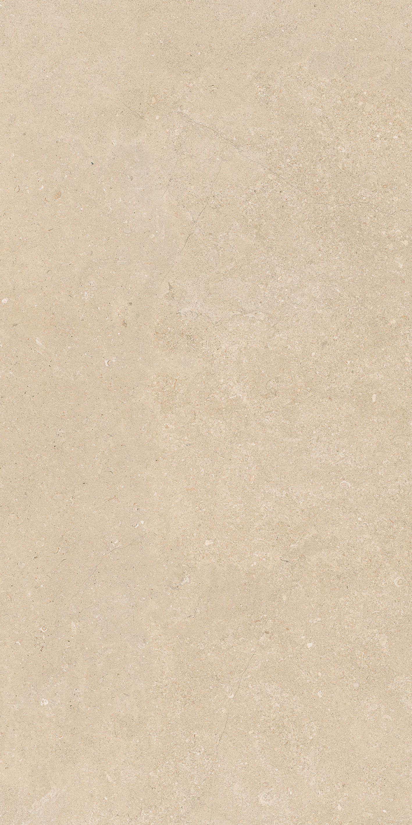 Stone Dordogne 60x120