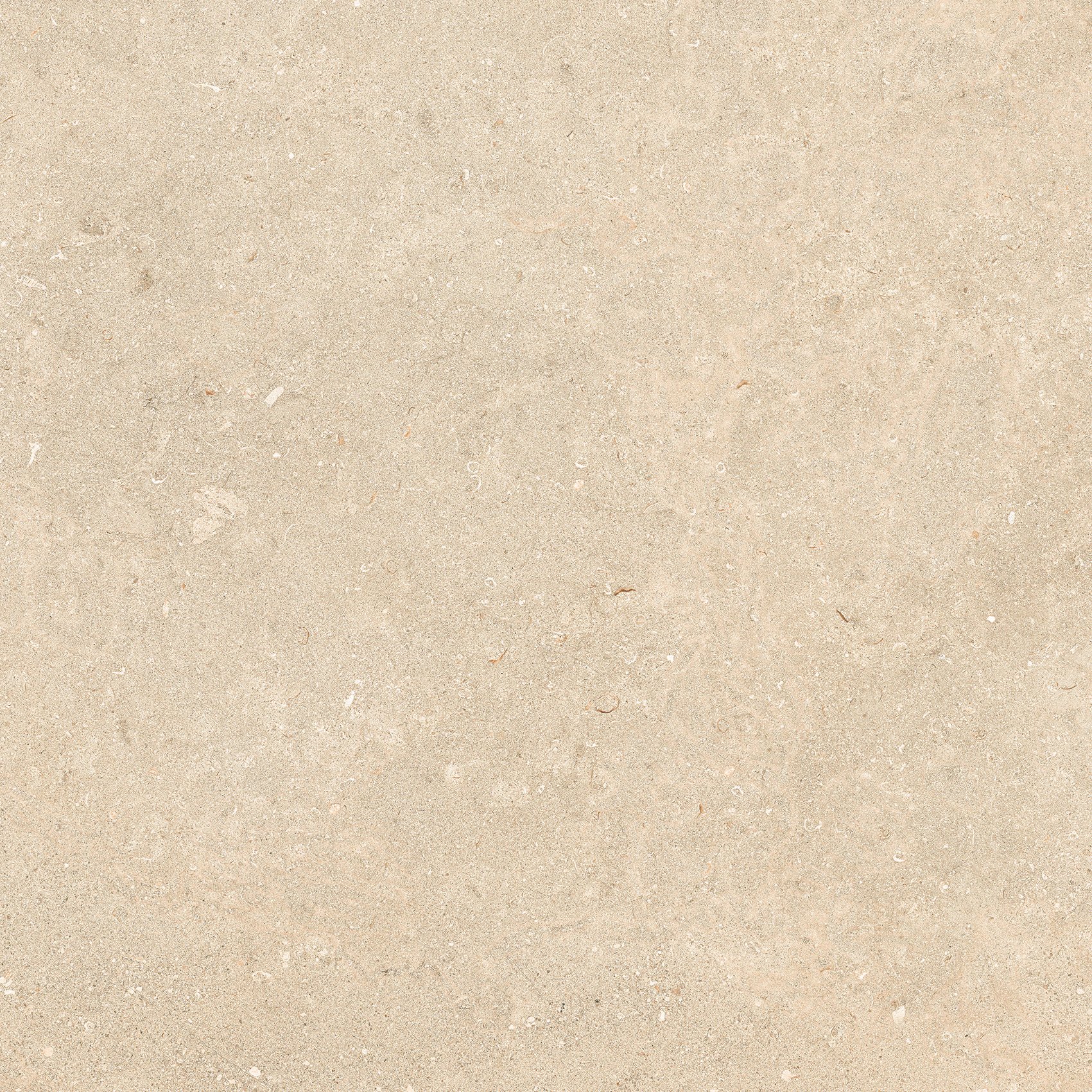 Stone Dordogne 60x60