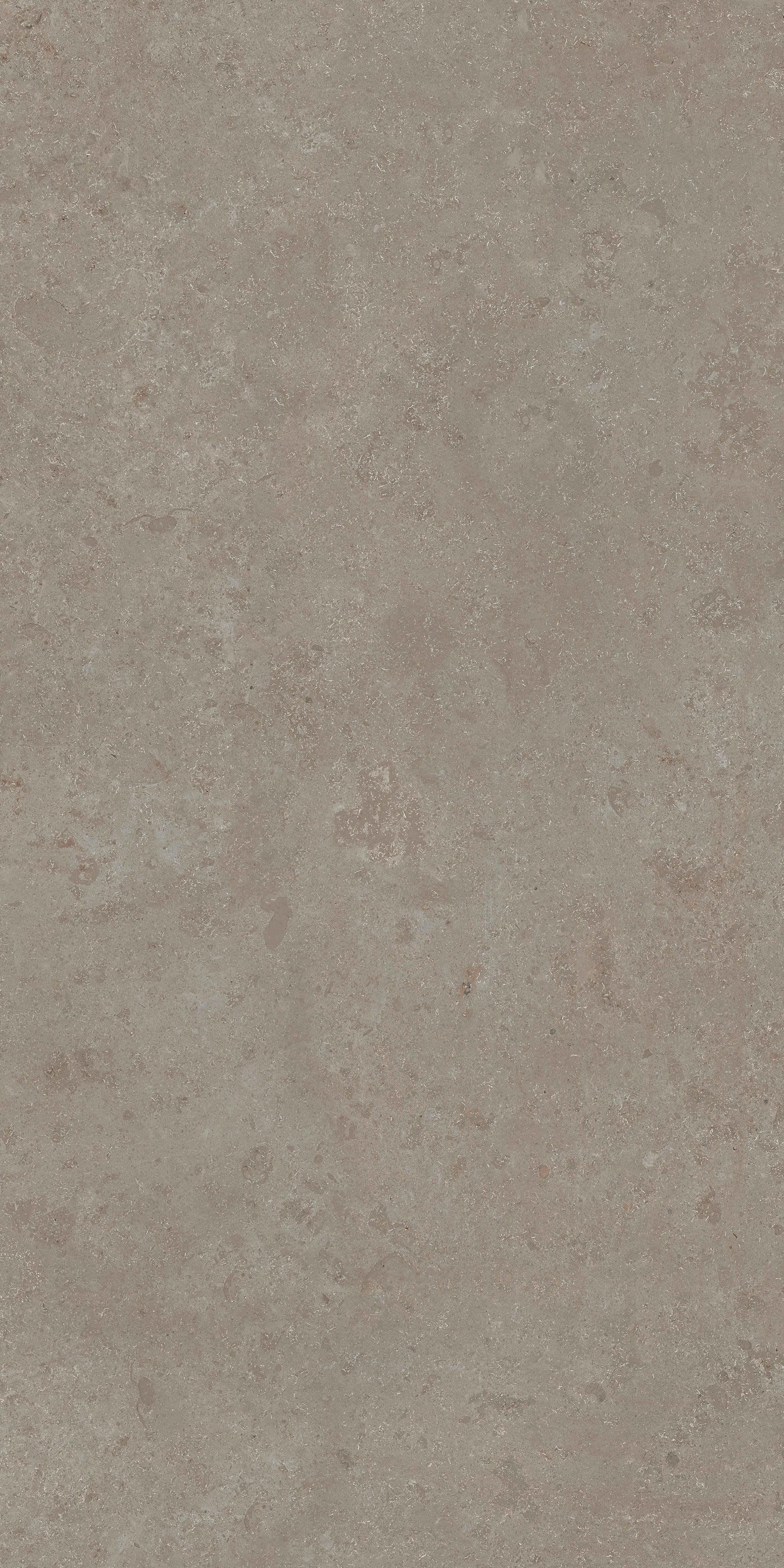 Stone Jura 60x120
