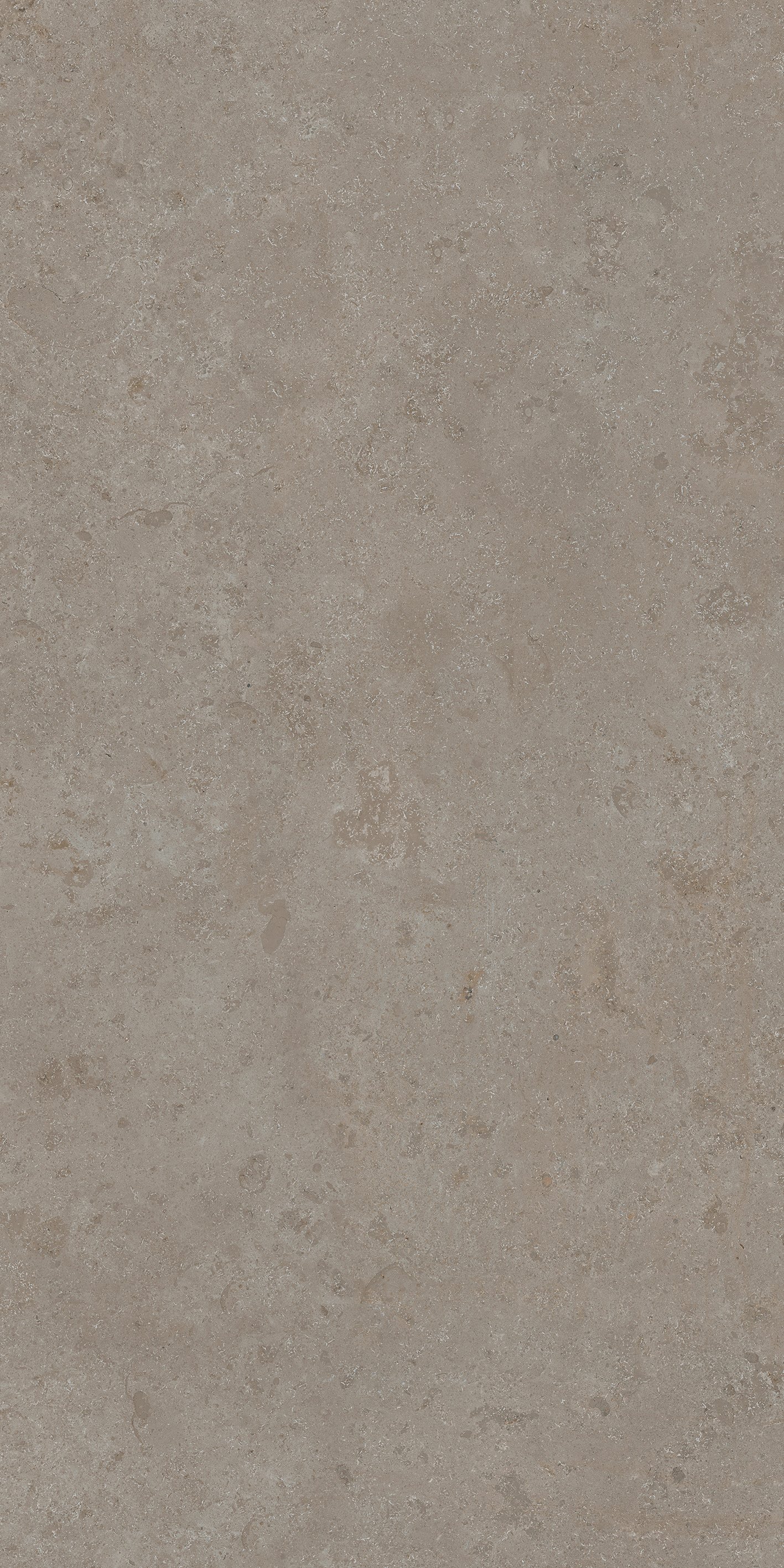 Stone Jura 60x120