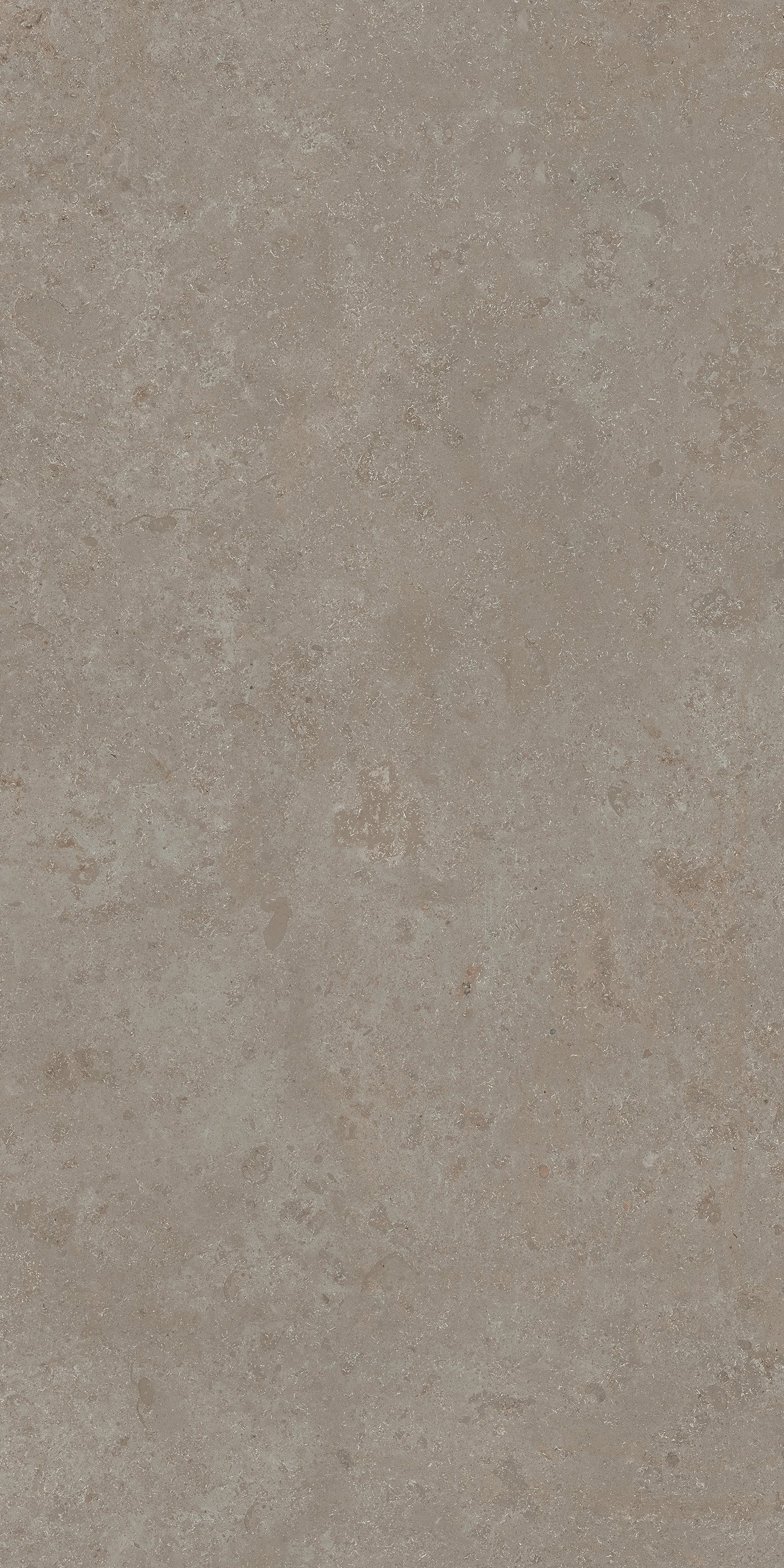 Stone Jura 60x120
