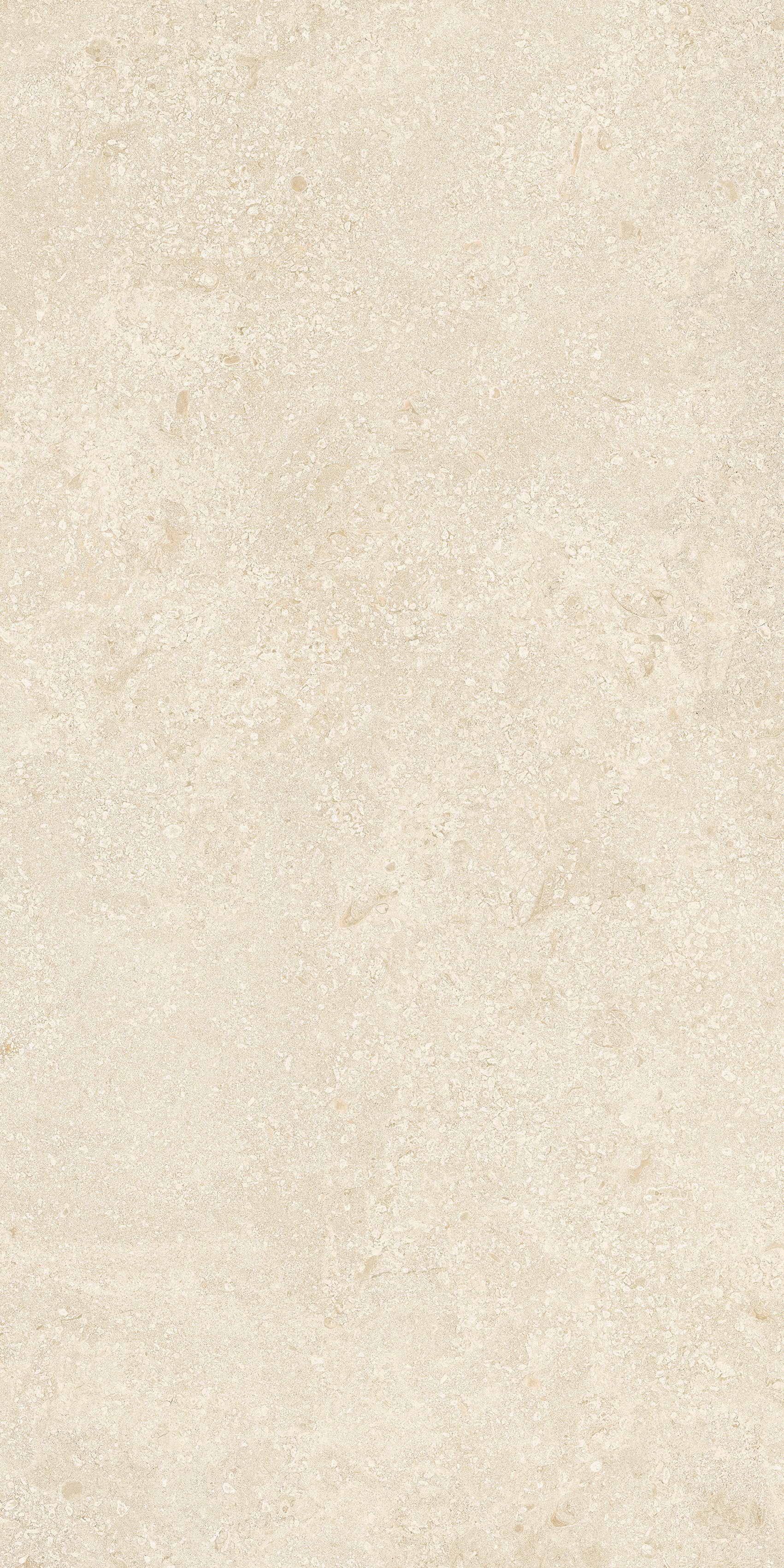 Stone Montpellier 60x120