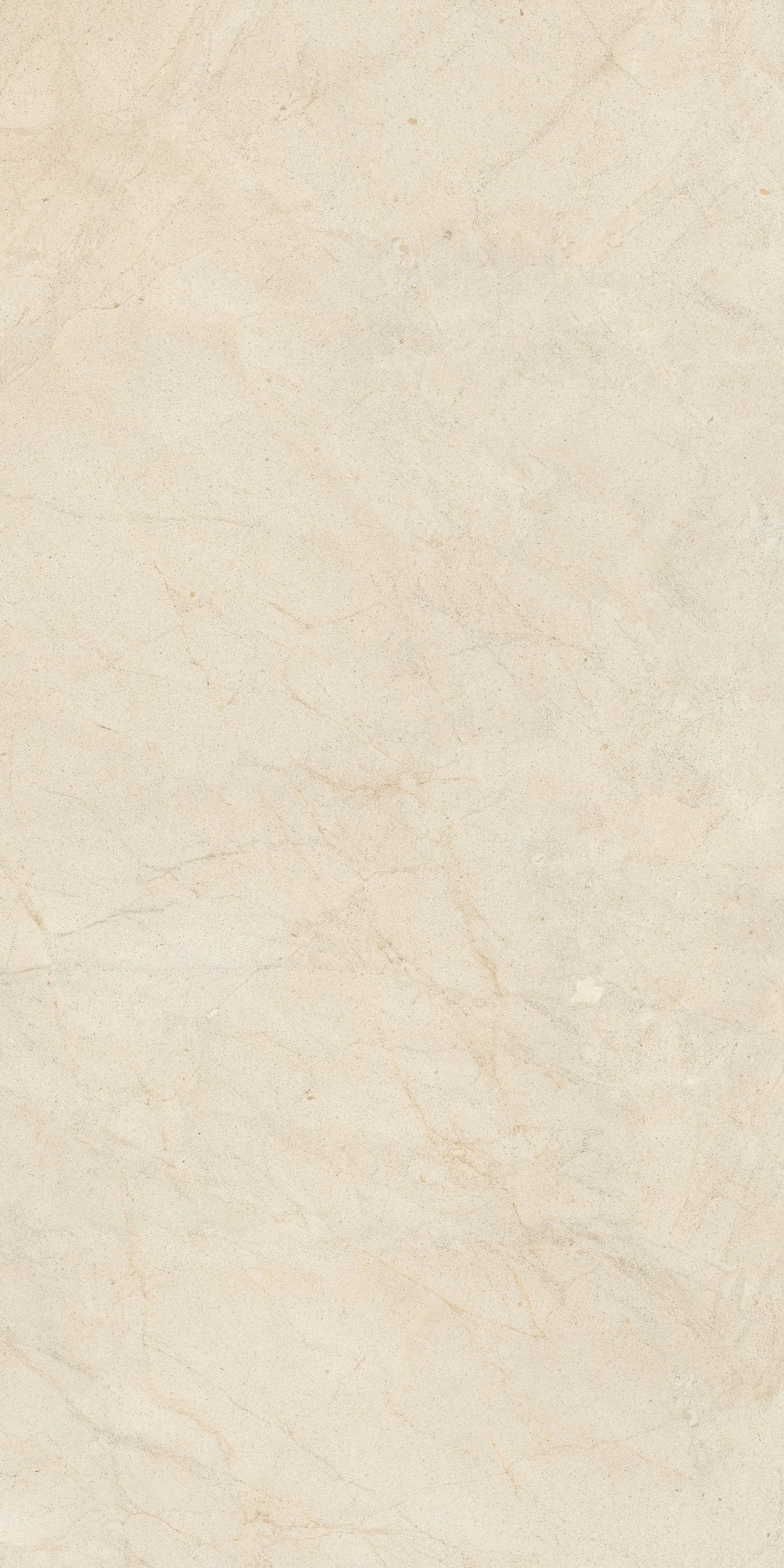 Crema Stone 120x240