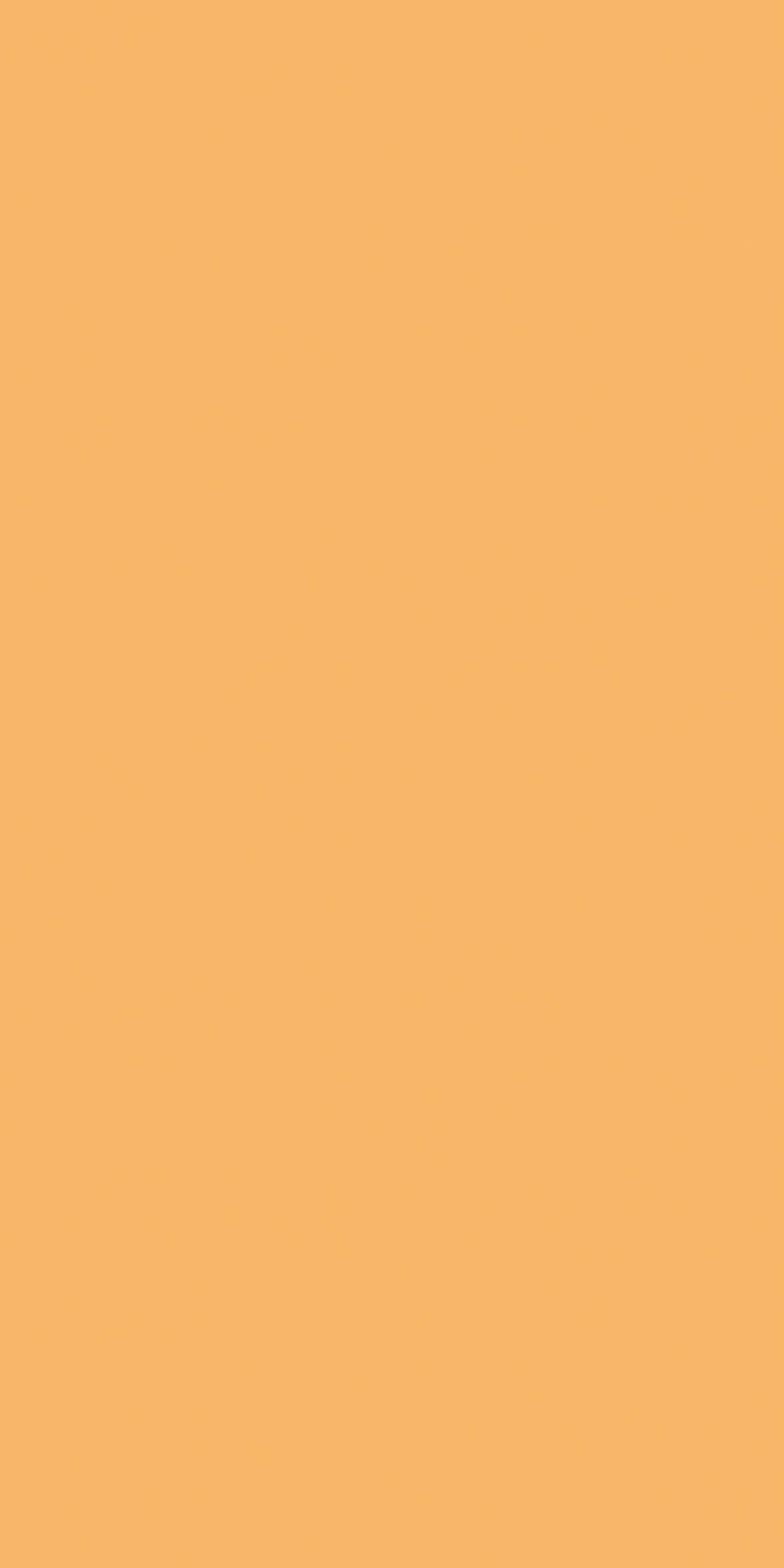 Cream 120x240