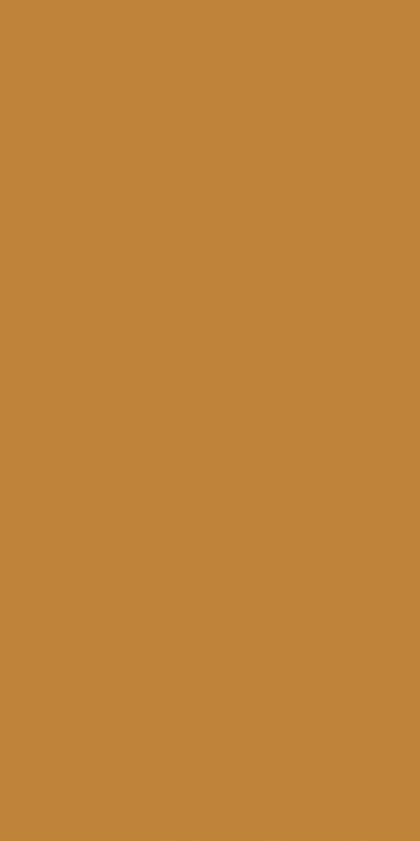 Mustard 120x240