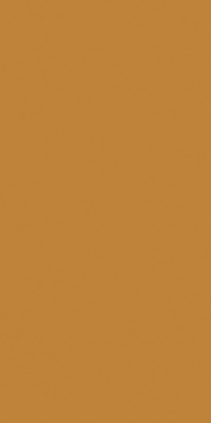 Mustard 60x120