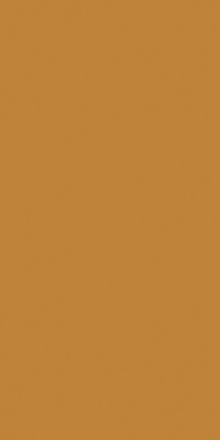 Mustard 60x120