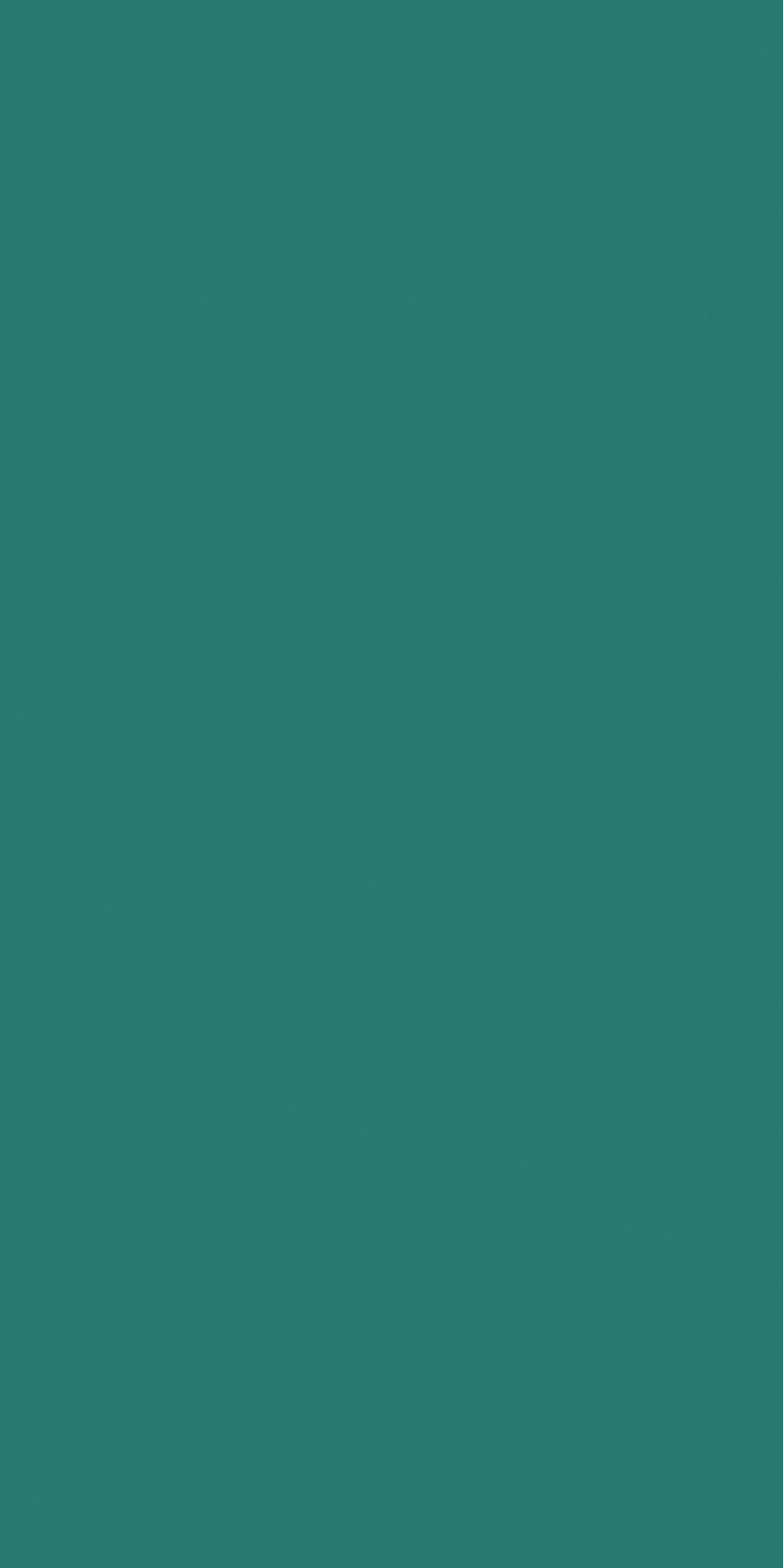 Teal 120x240