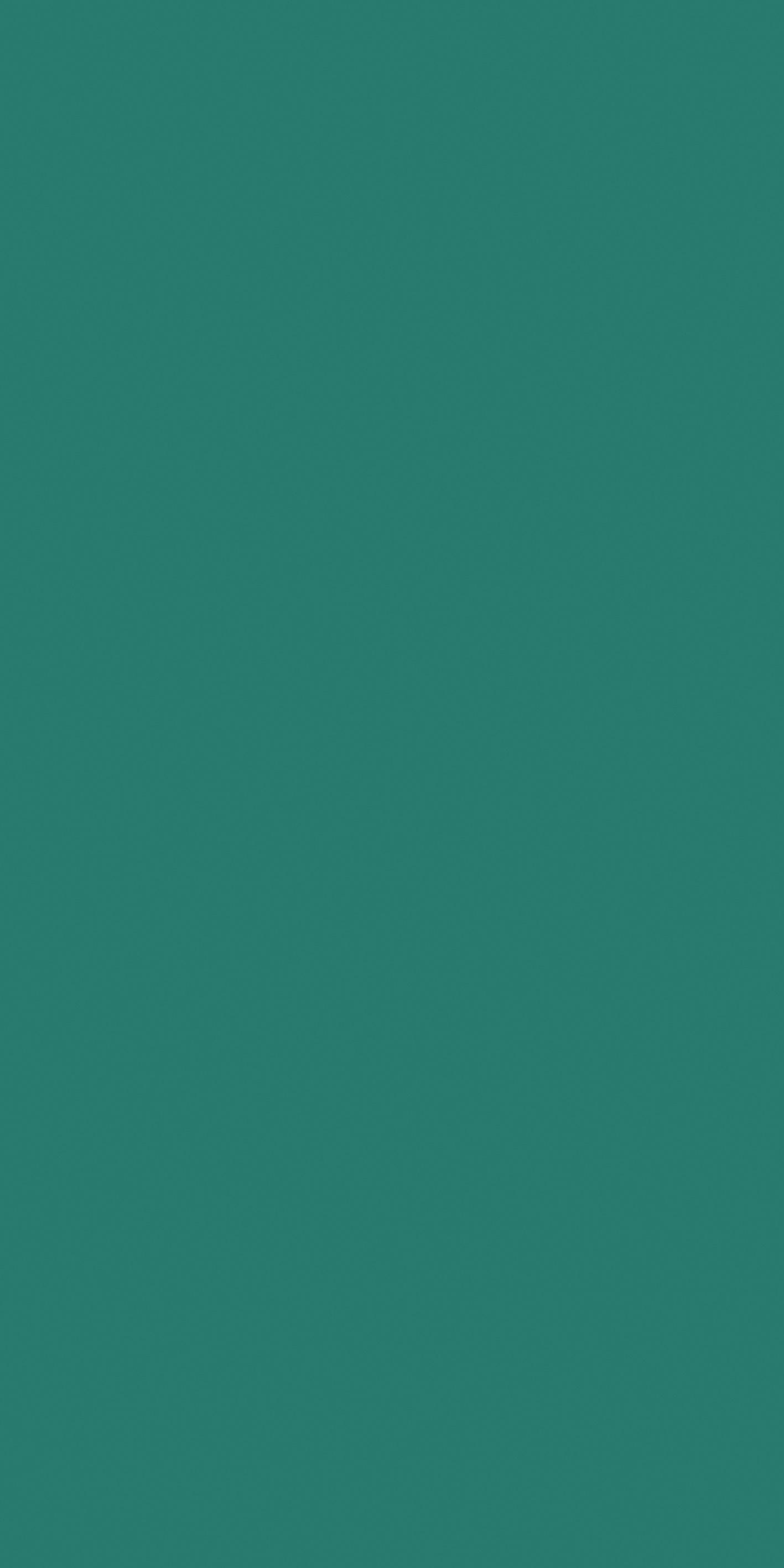 Teal 120x240