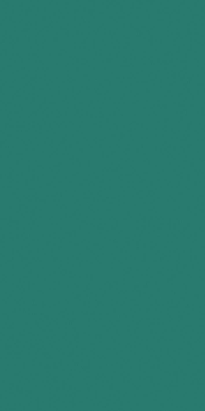 Teal 60x120