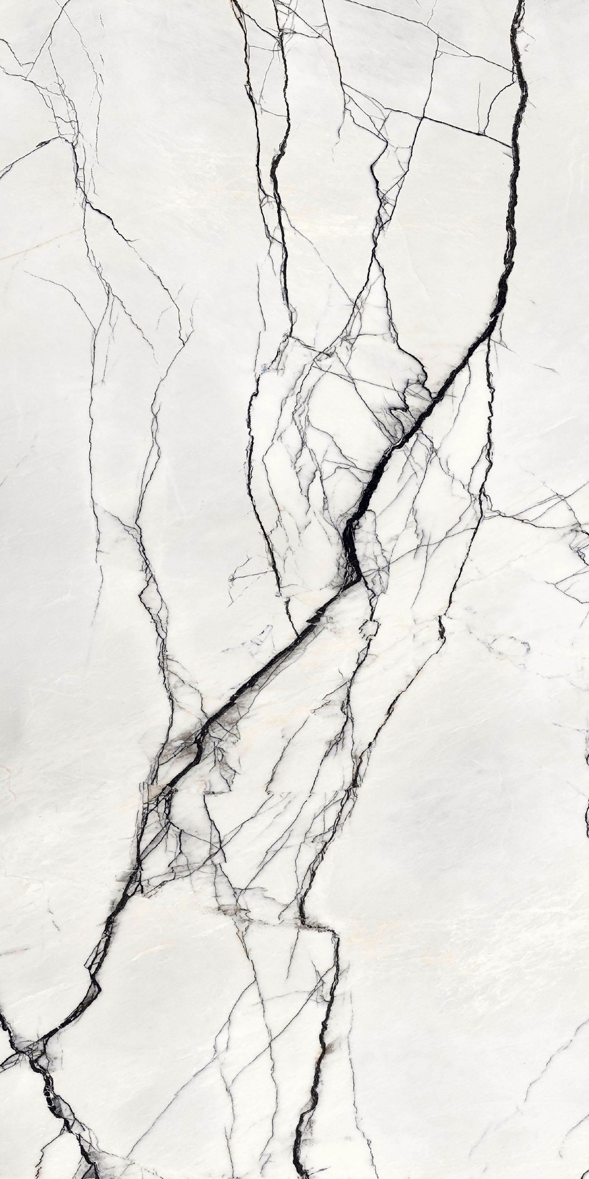 Breach 160x320