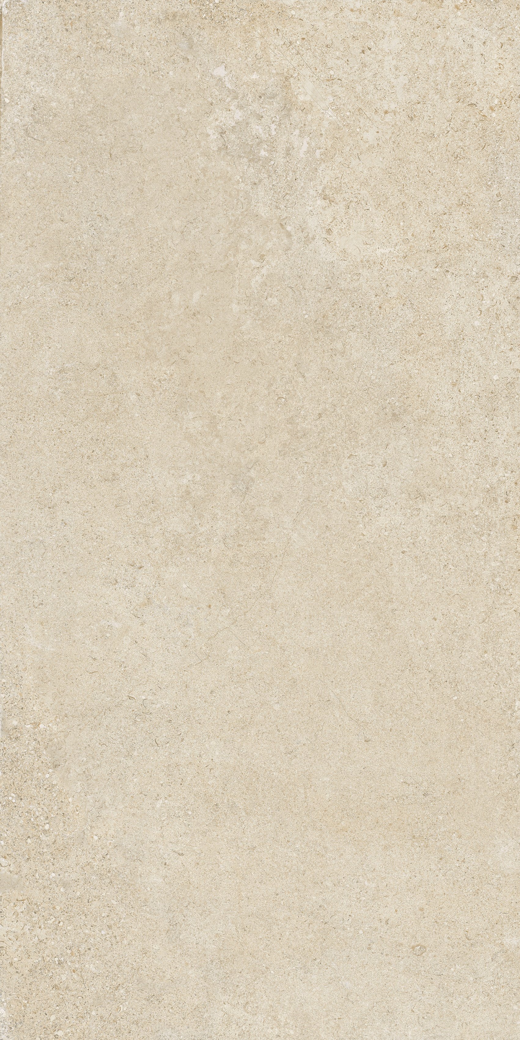 Champagne 60x120