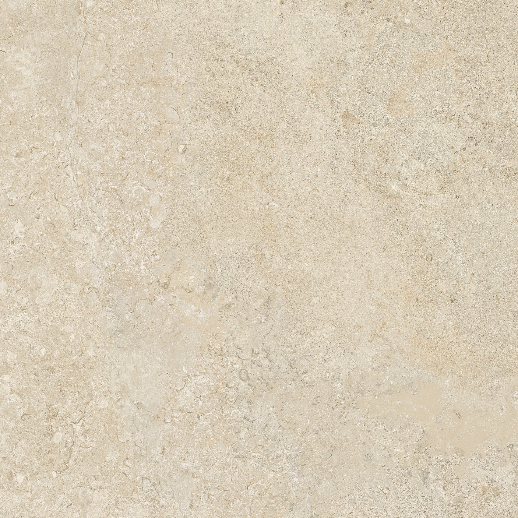 Champagne 60x60