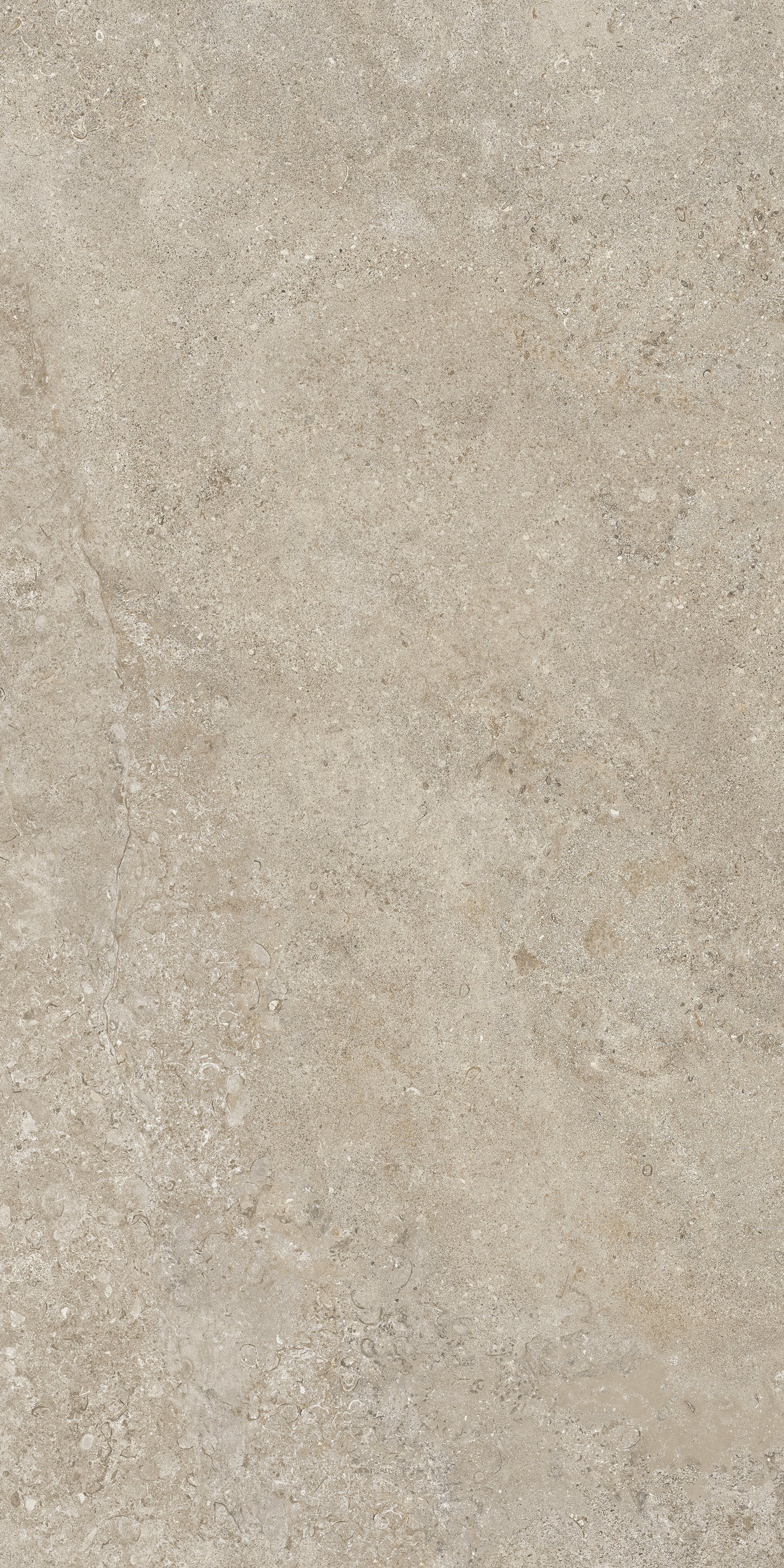Dove Grey 60x120