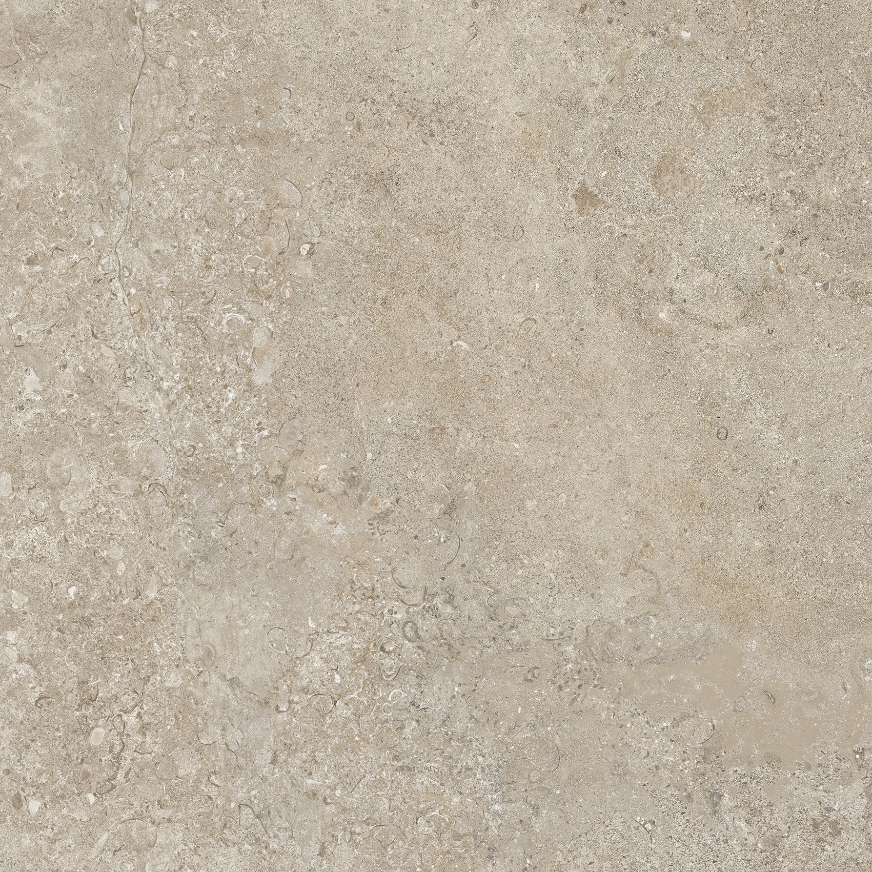 Dove Grey 60x60