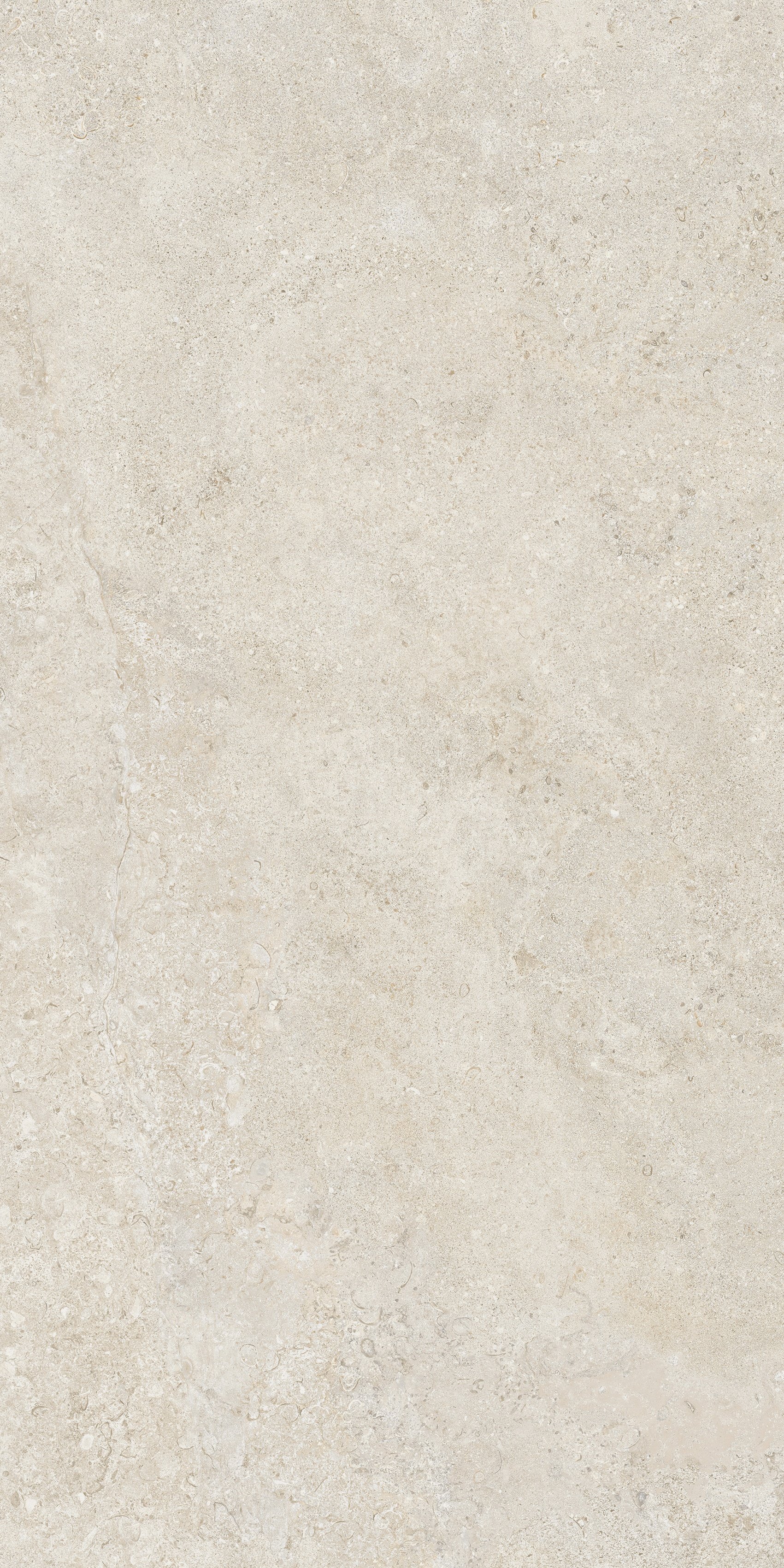 Talc 60x120