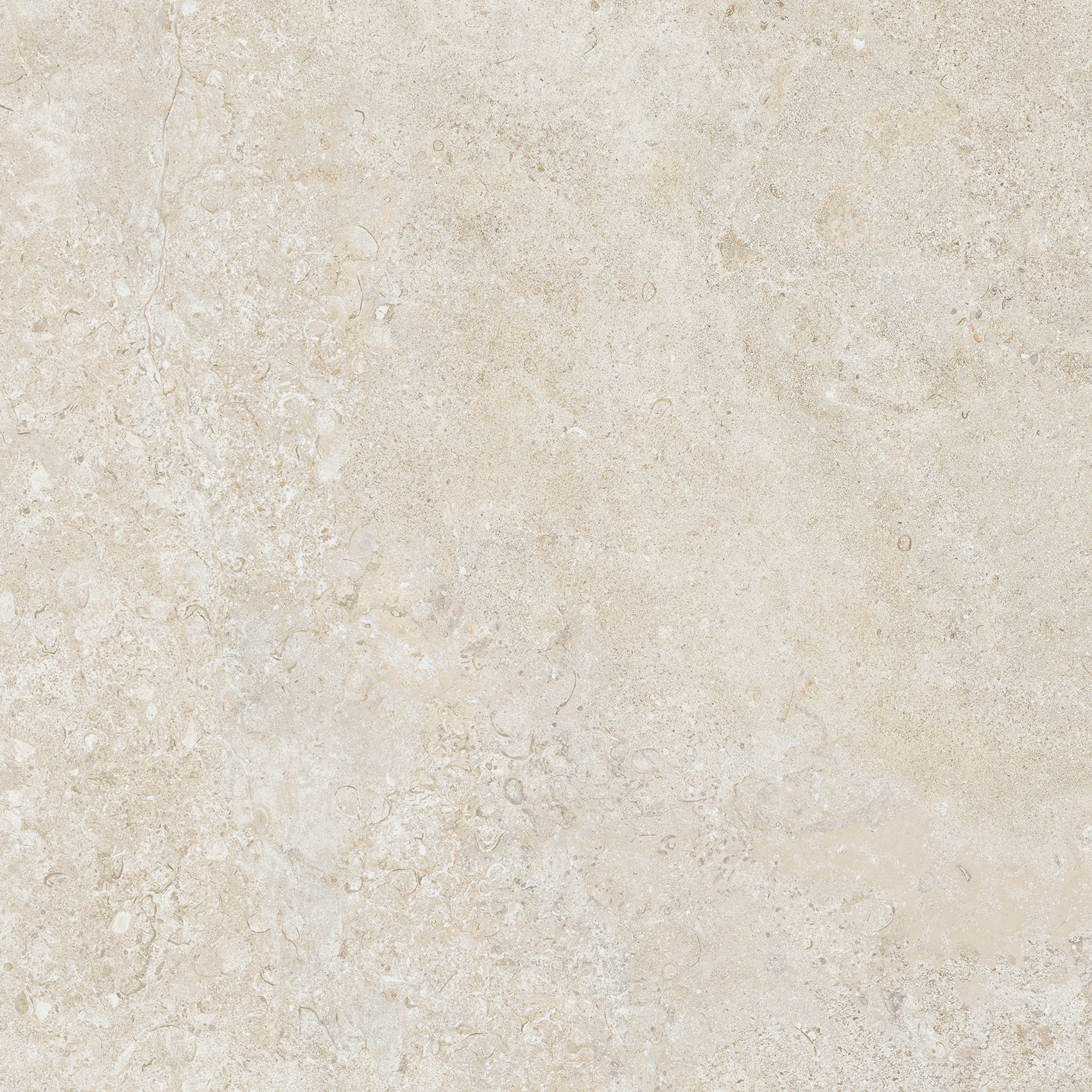 Talc 60x60