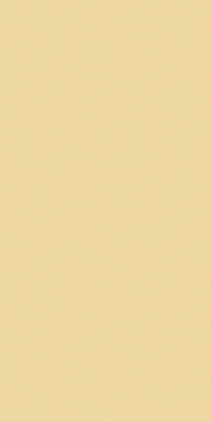 Buttercream 60x120