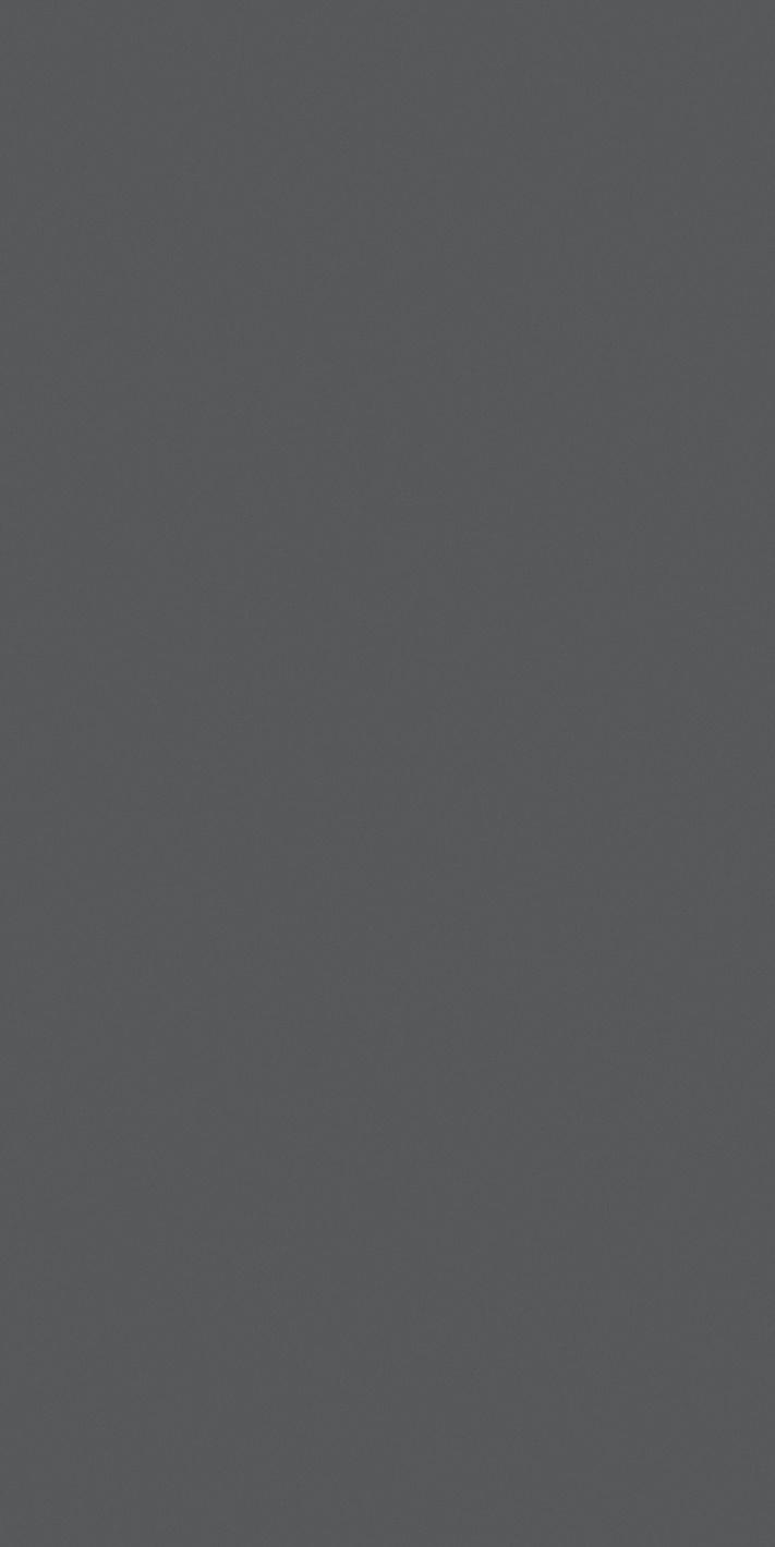 Mist 60x120