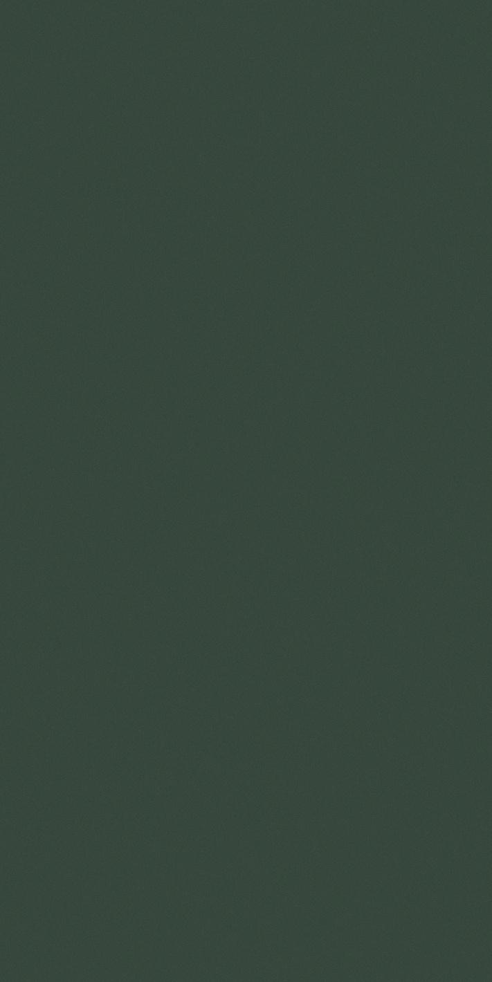 Moss 60x120