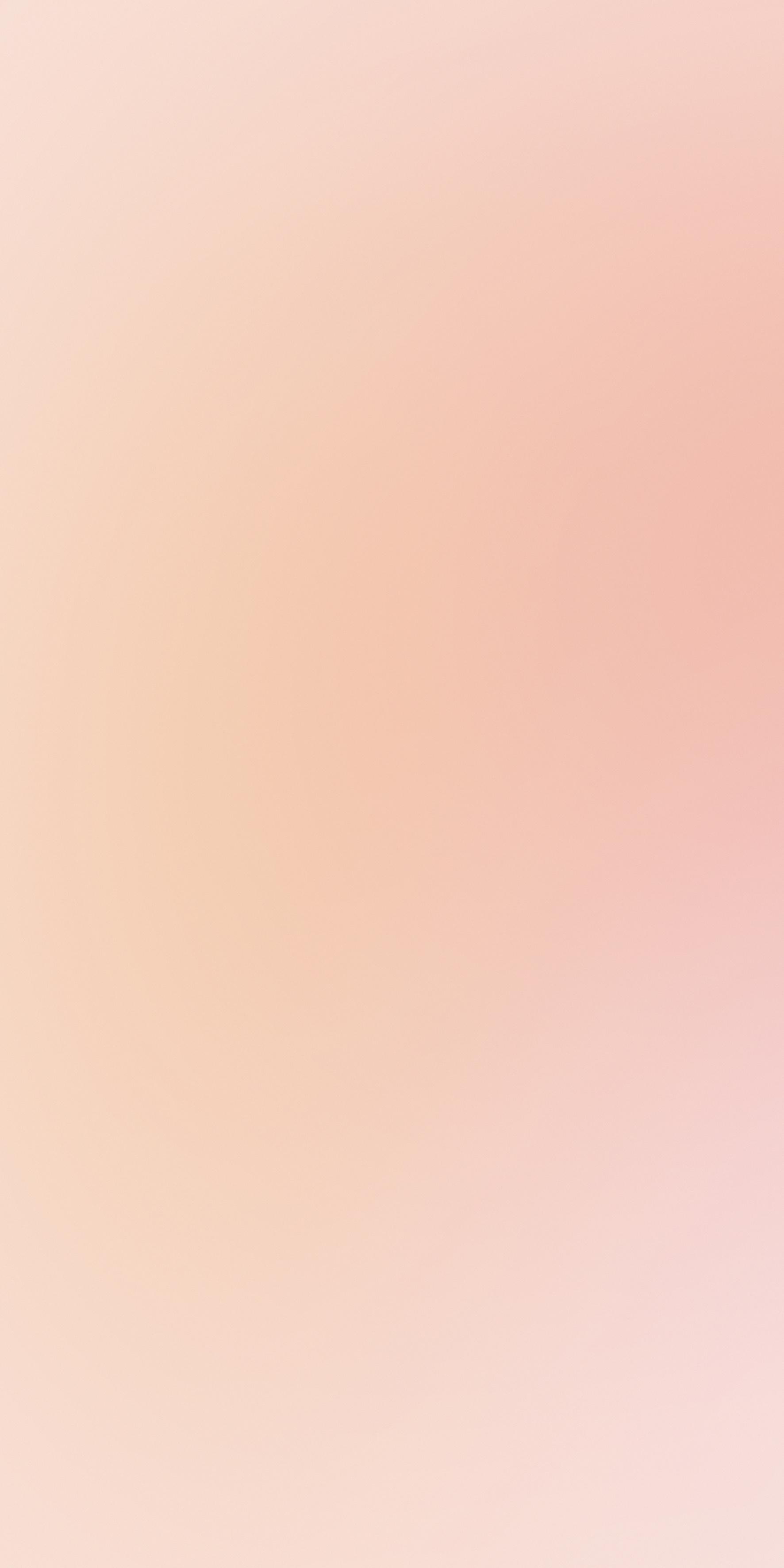 Rosa 120x240