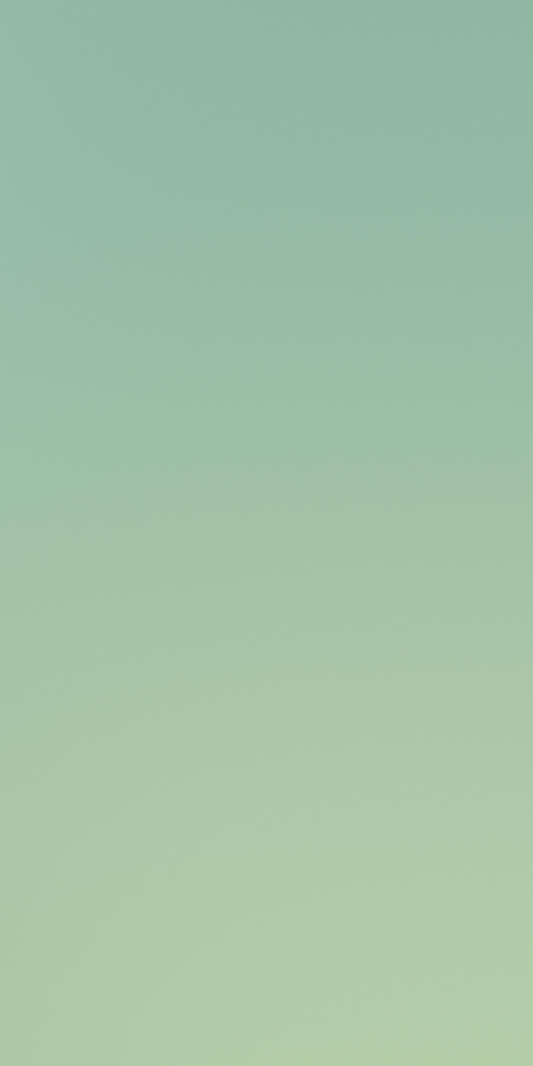 Verde 120x240