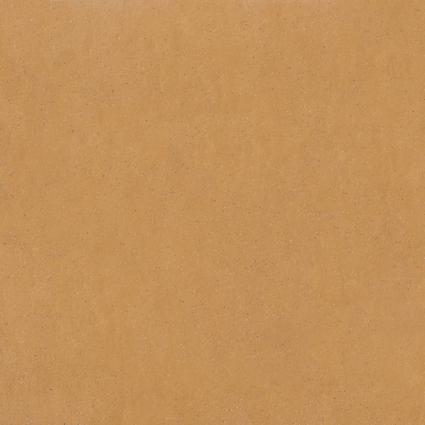 Savannah_Ground 120x120