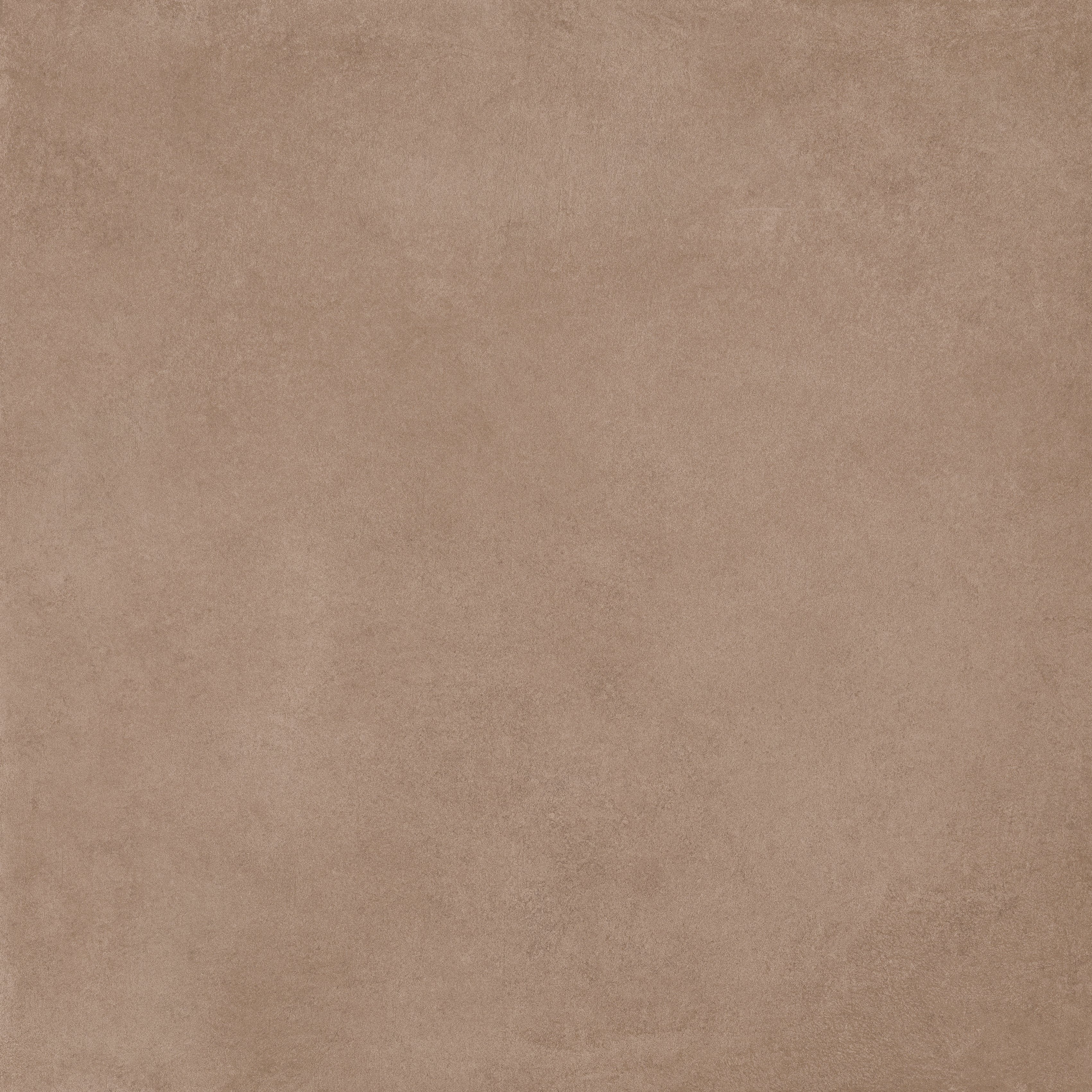 Barley 120x120