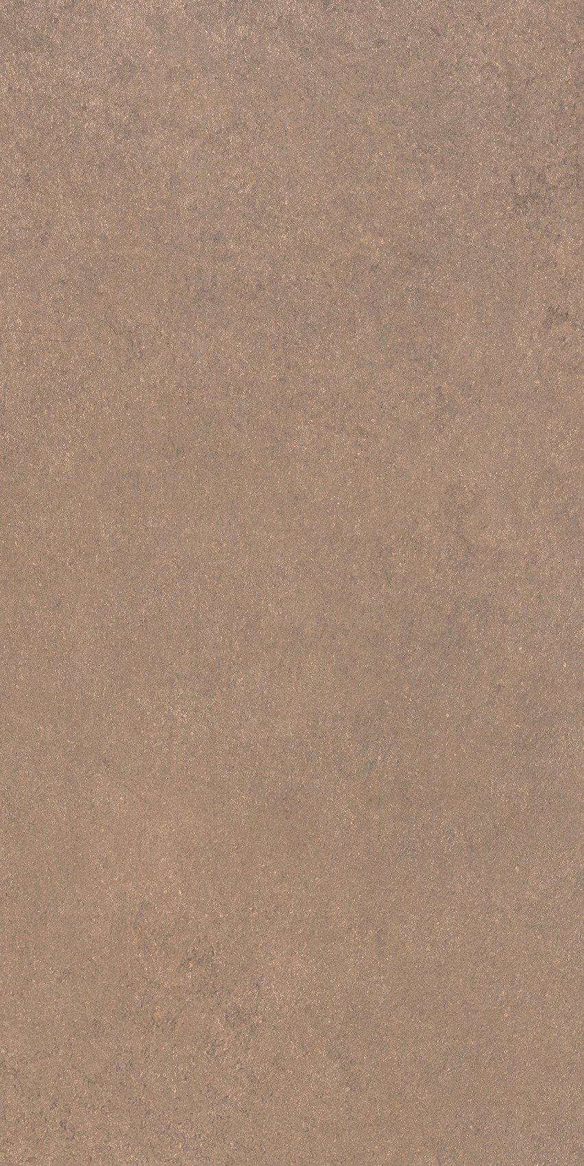 Barley 30x60
