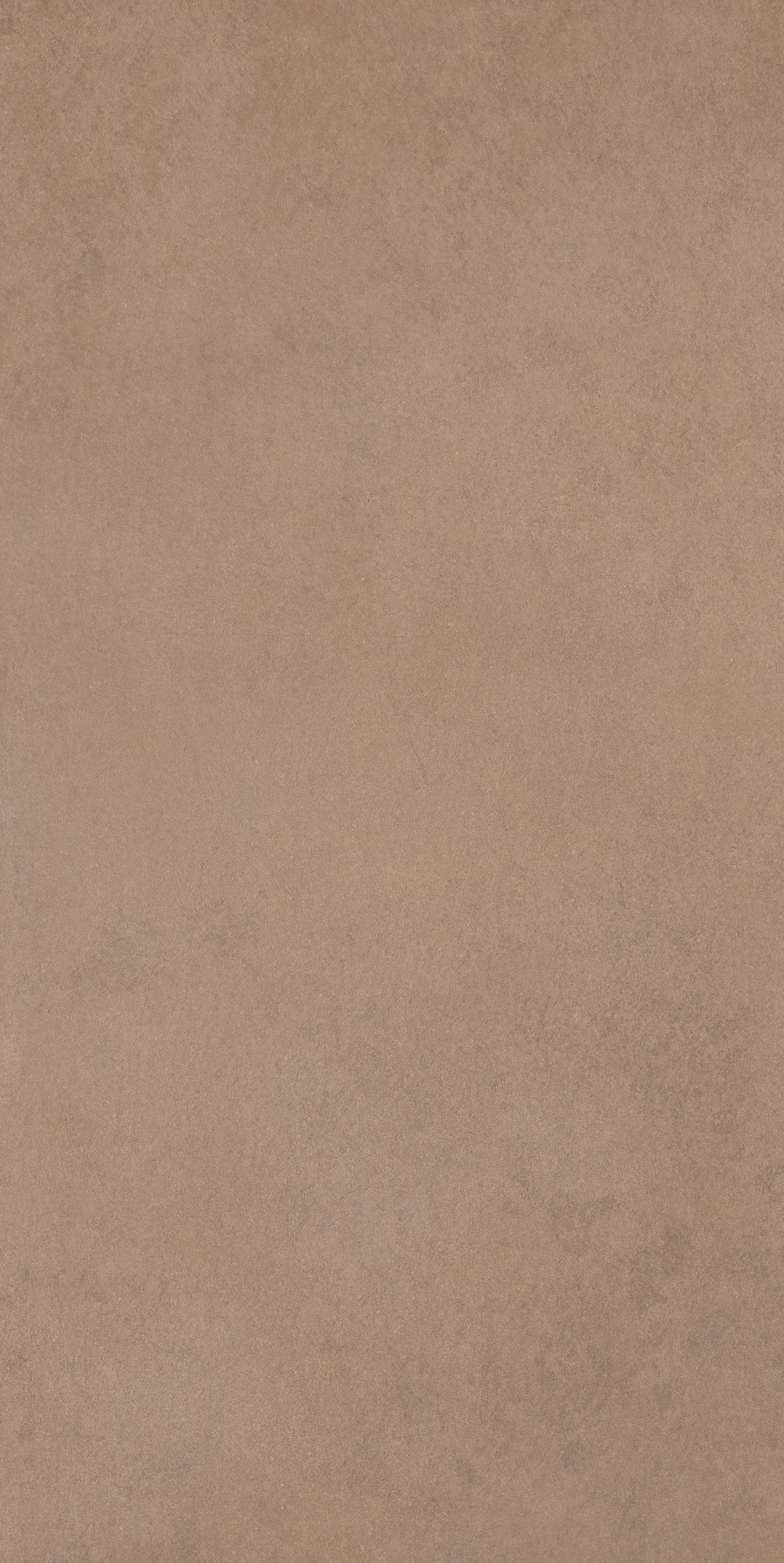 Barley 60x120
