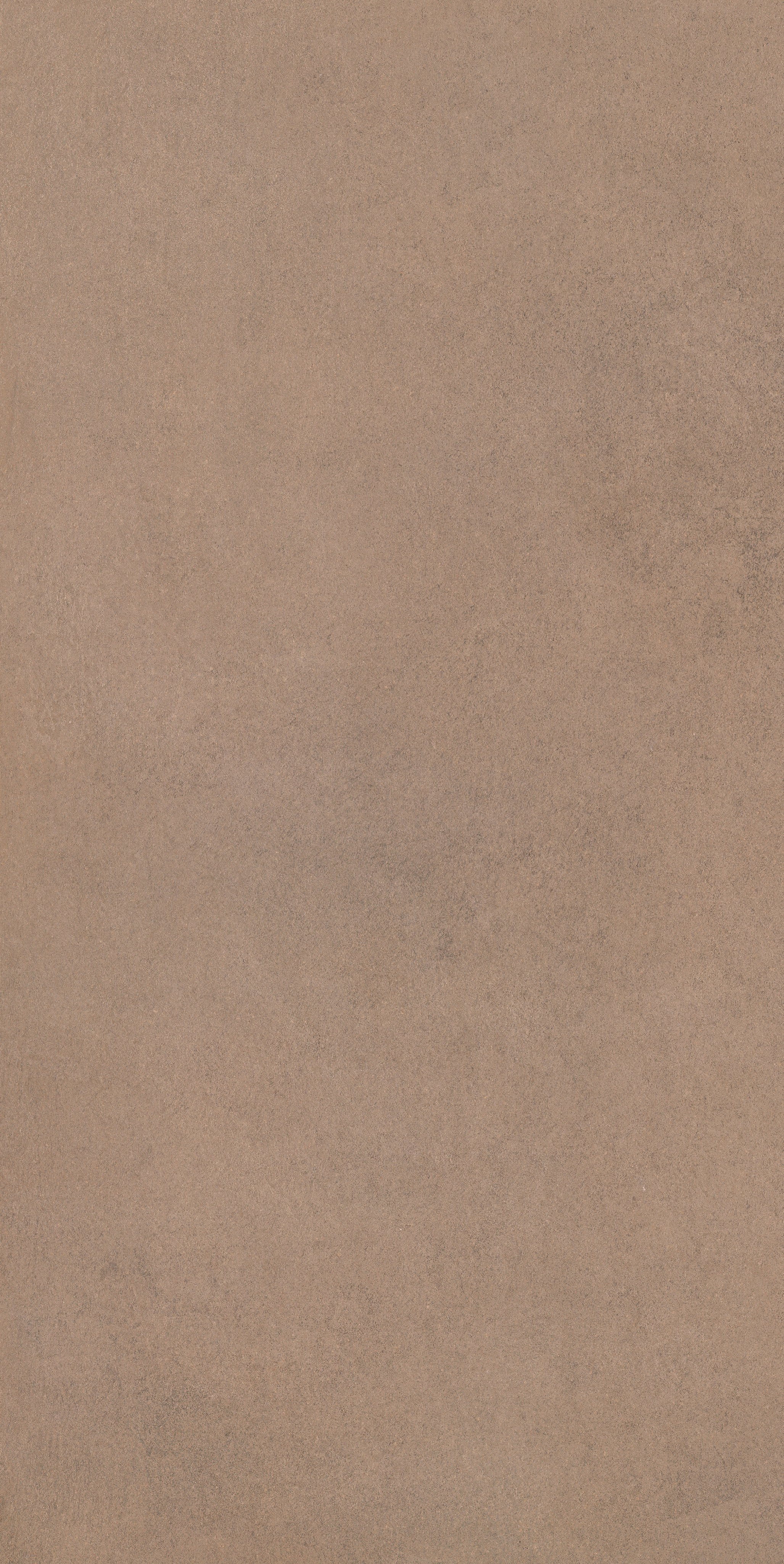 Barley 60x120