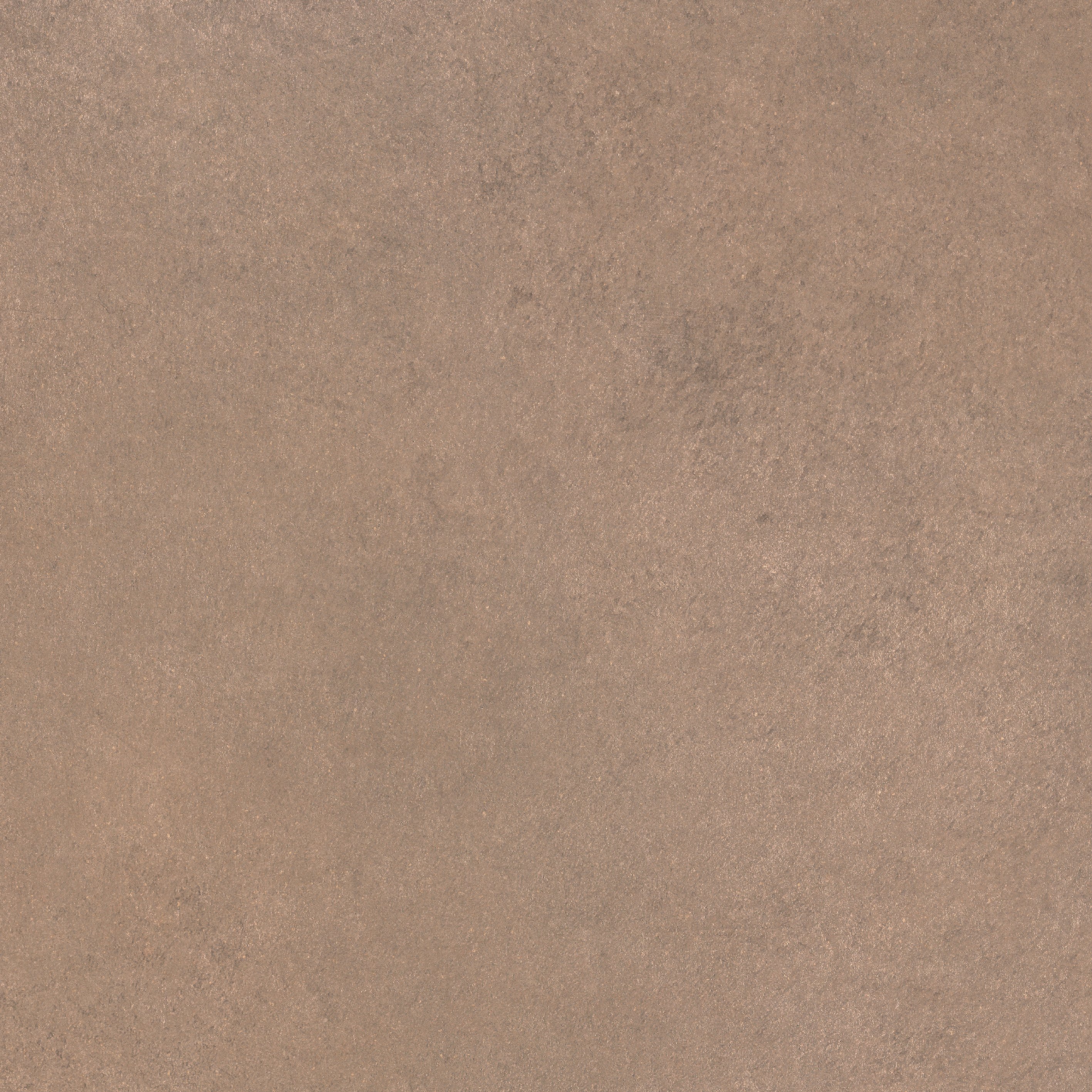 Barley 60x60
