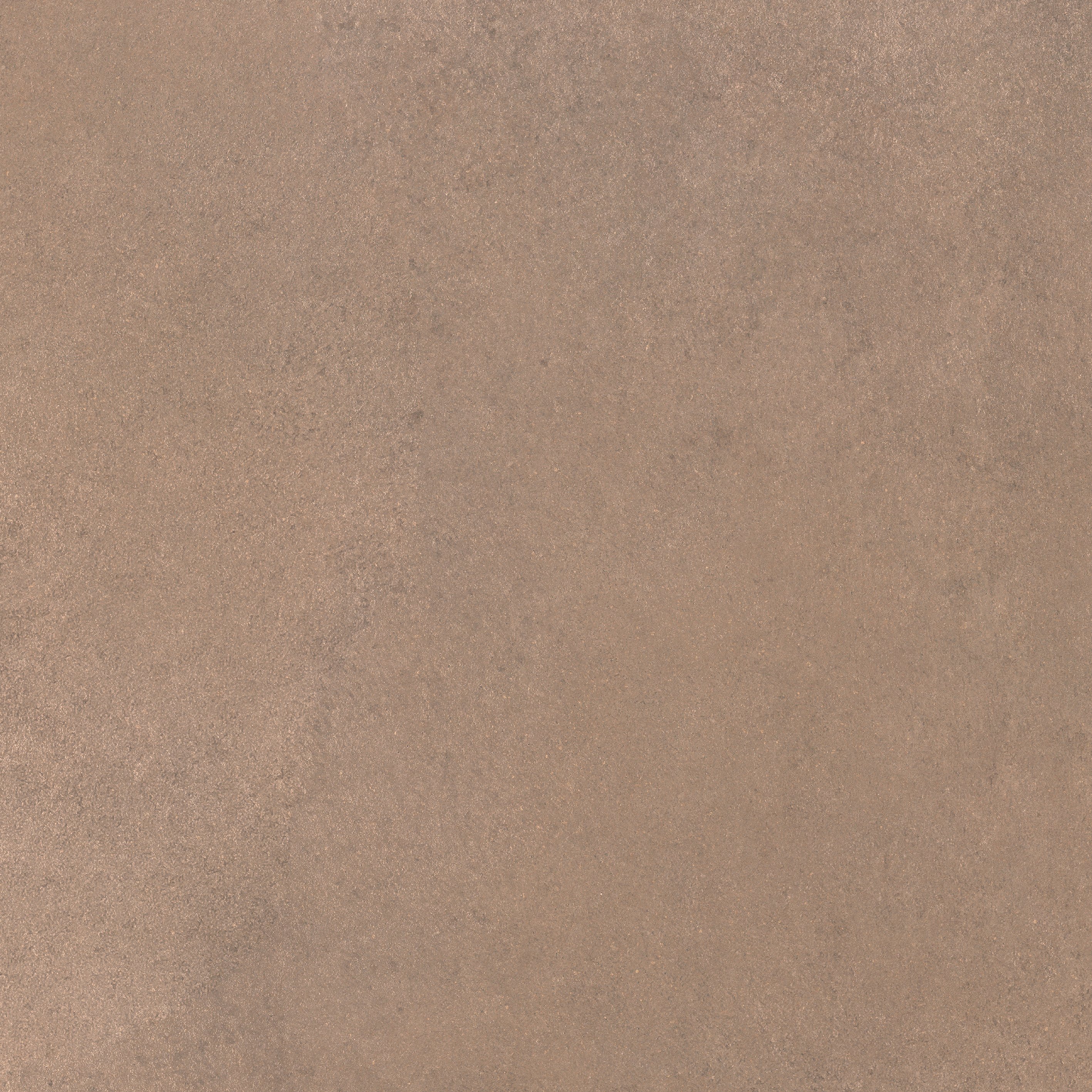 Barley 60x60