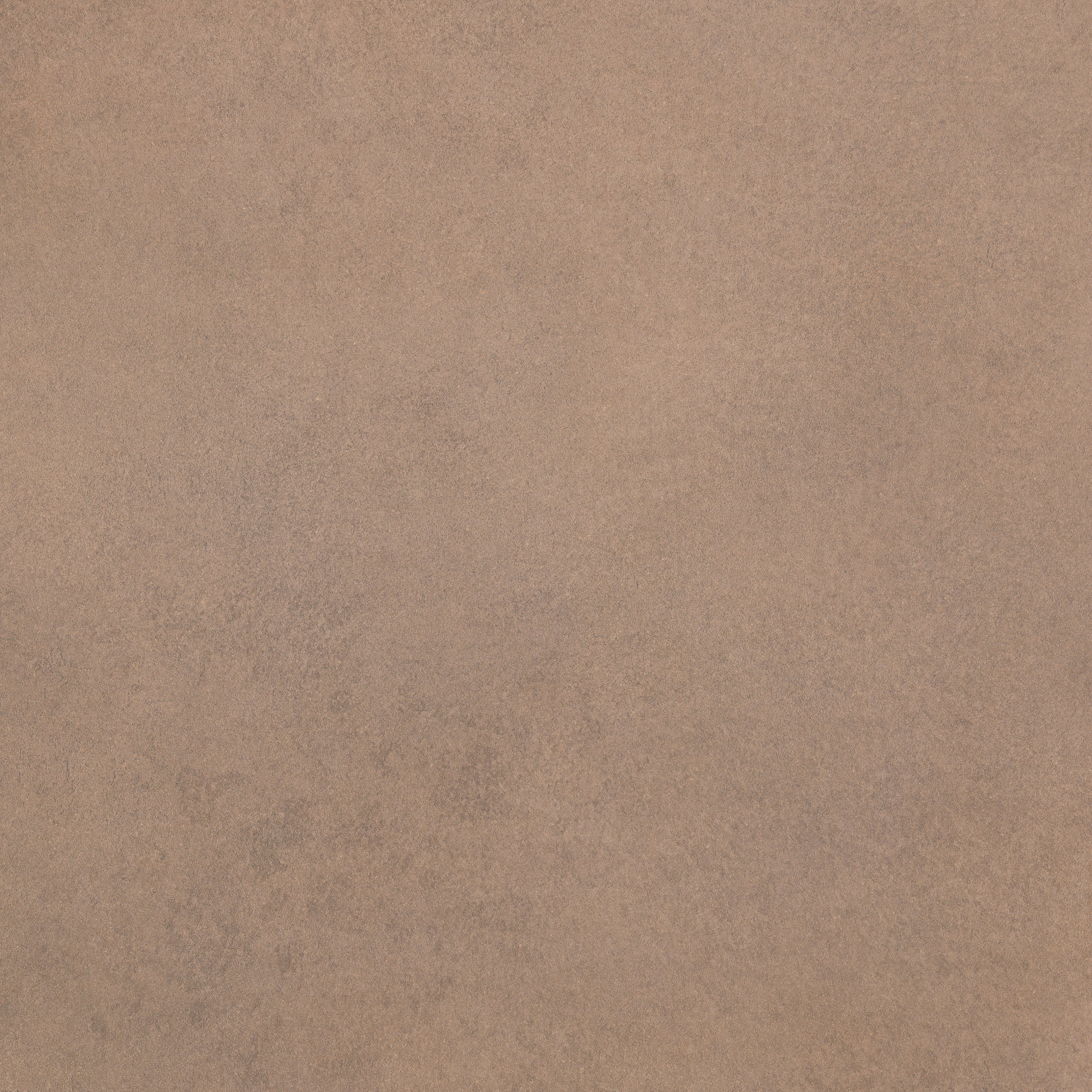 Barley 80x80