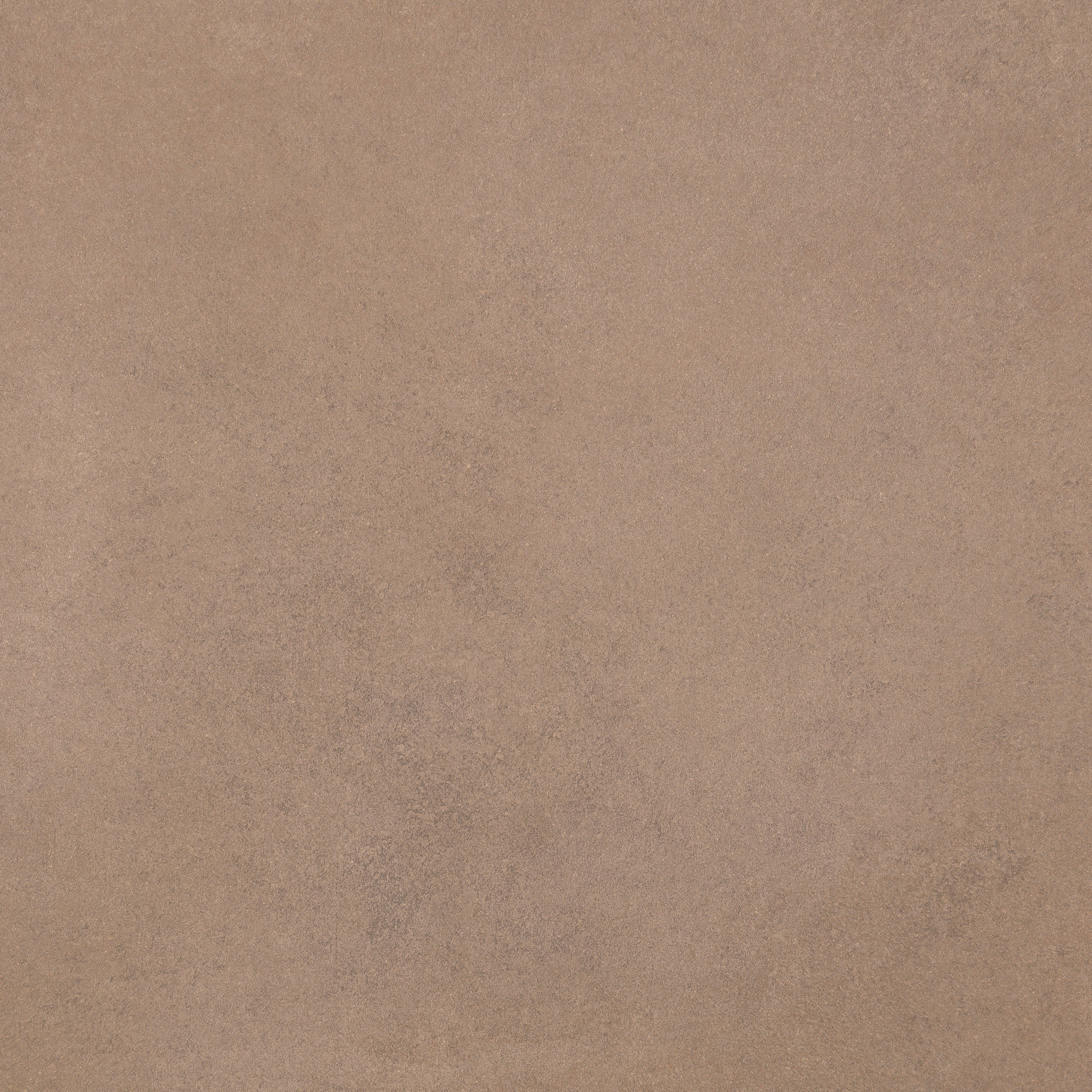 Barley 80x80