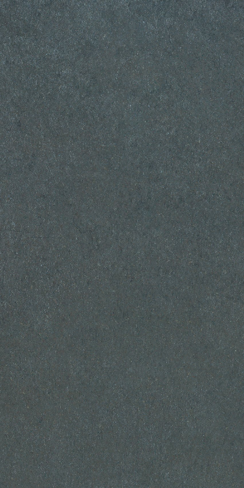 Blue Corn 30x60