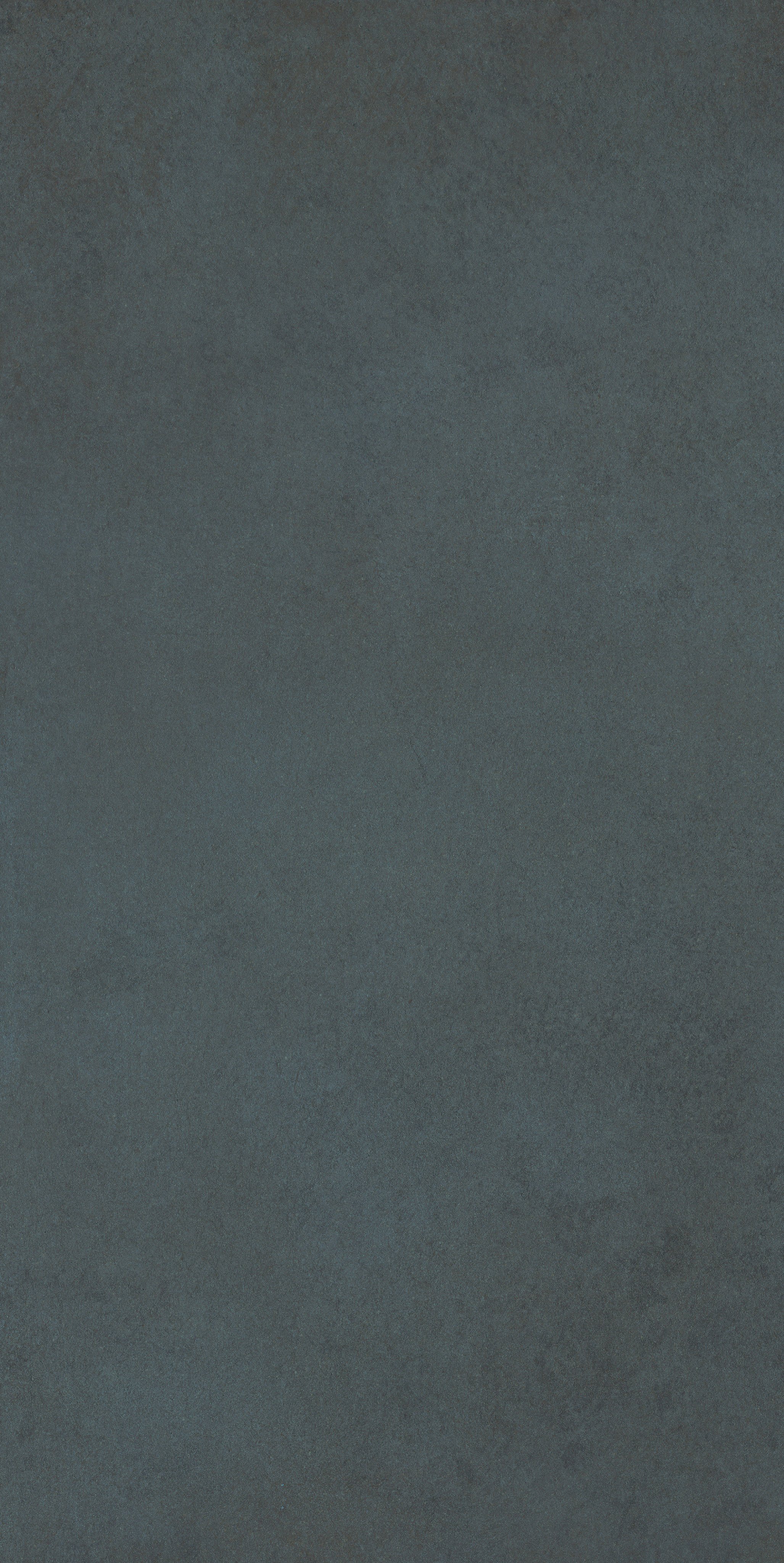 Blue Corn 60x120