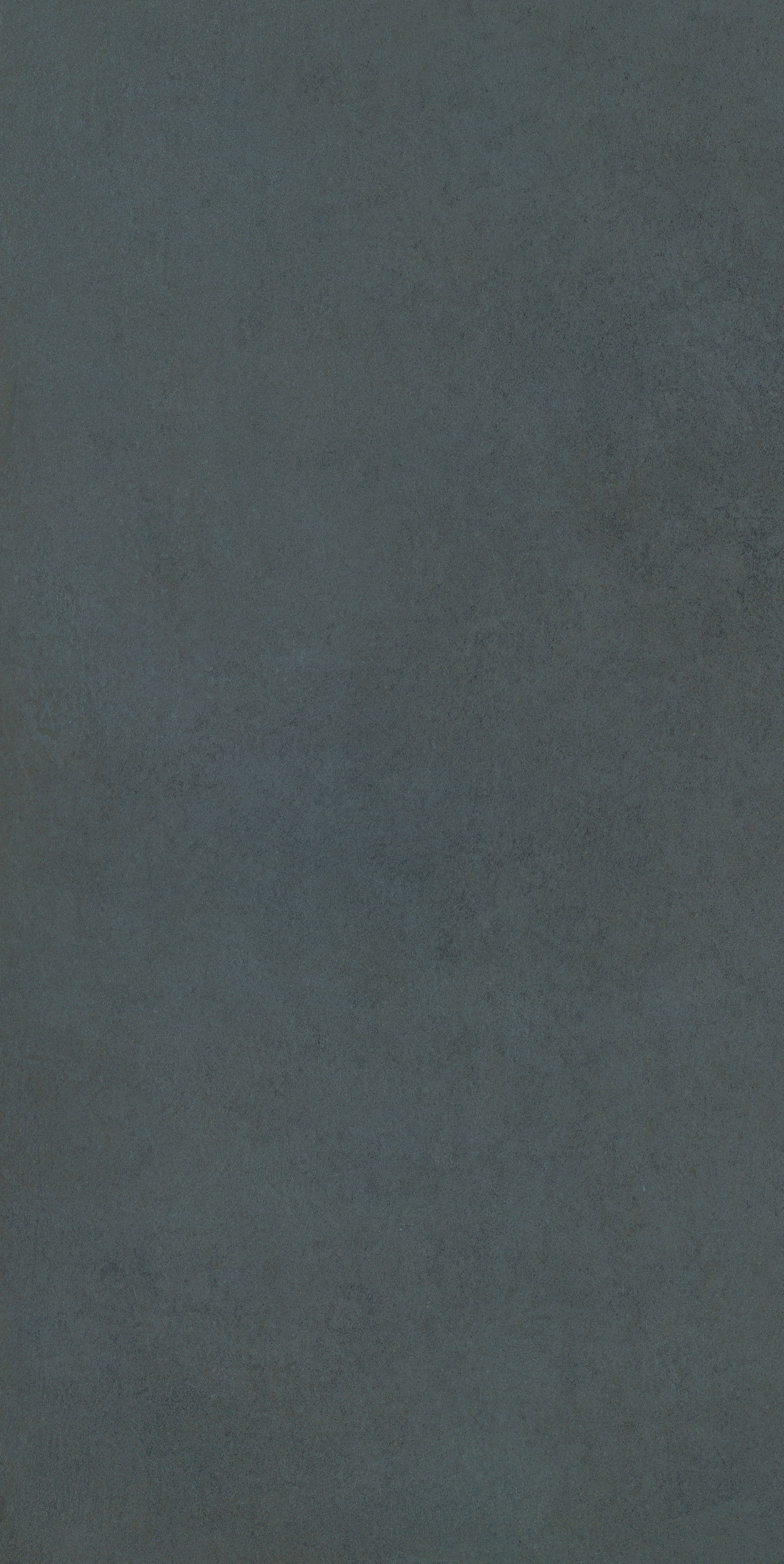 Blue Corn 60x120