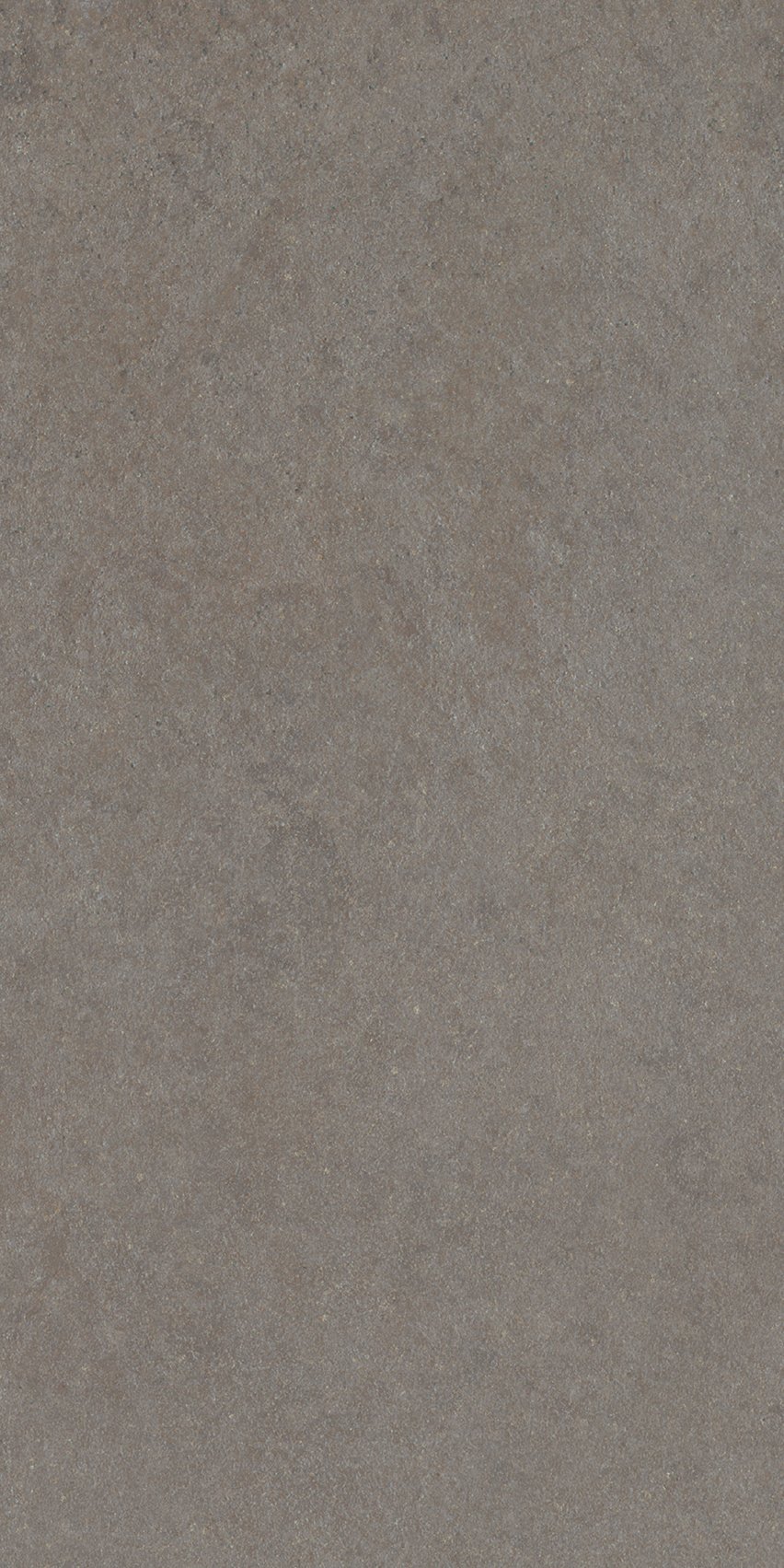 Grey Salt 30x60