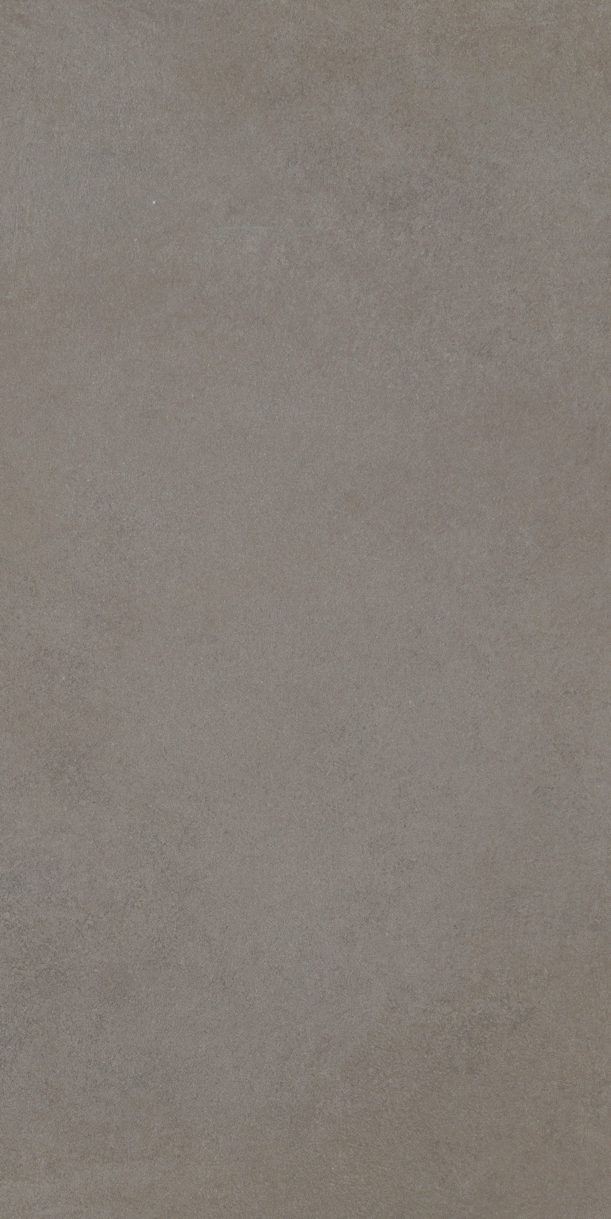 Grey Salt 60x120