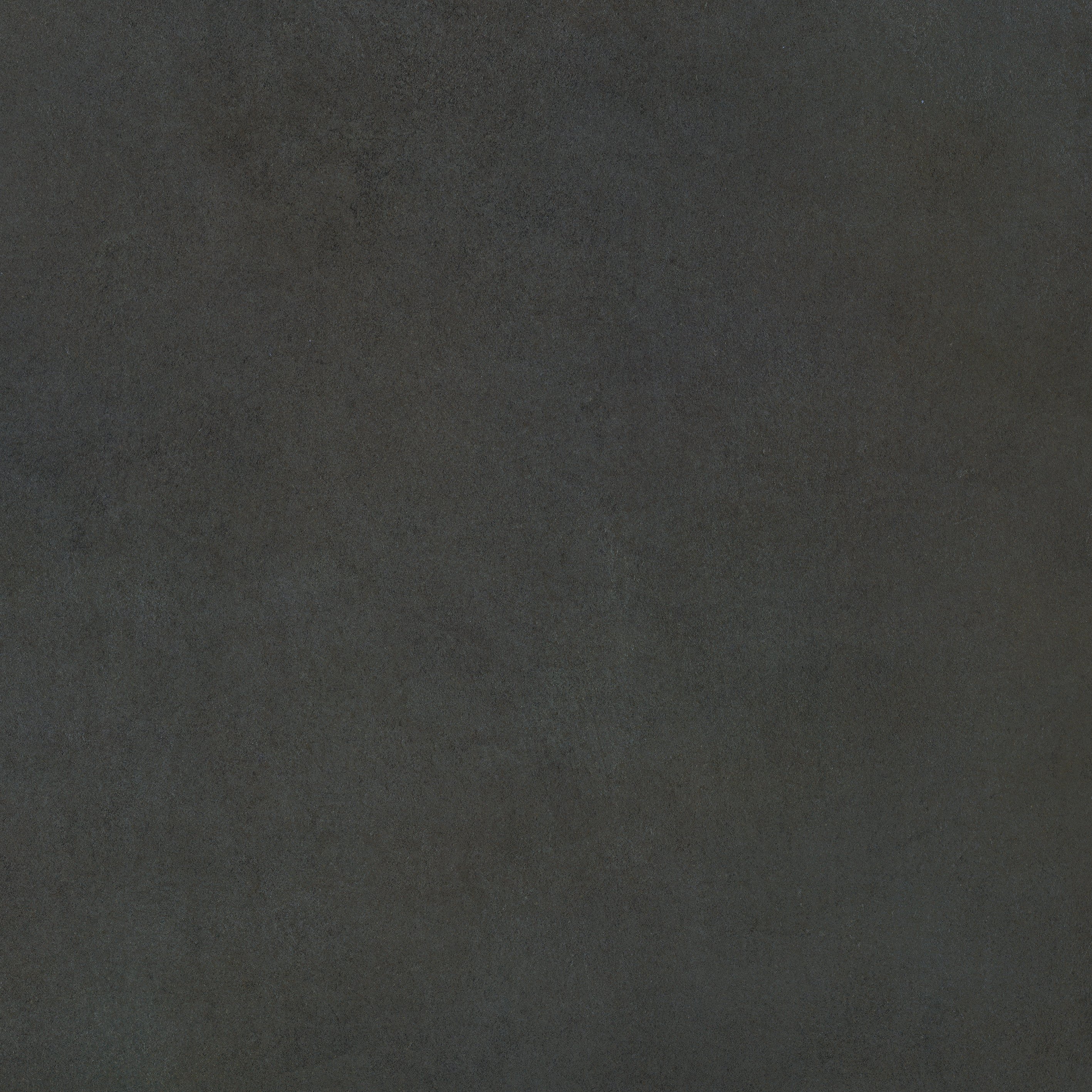 Truffle 80x80