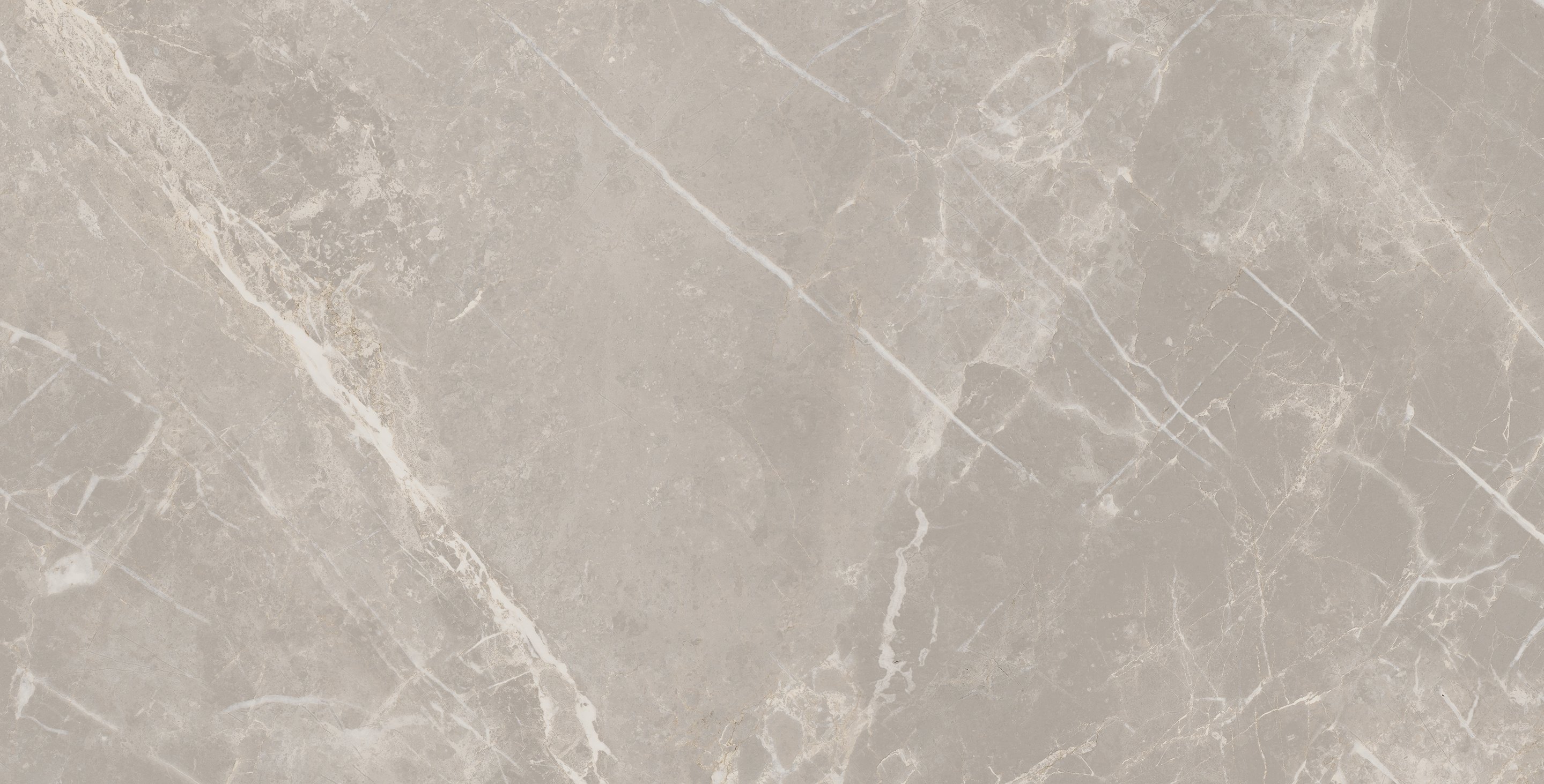 Grey Dolomia 30x60