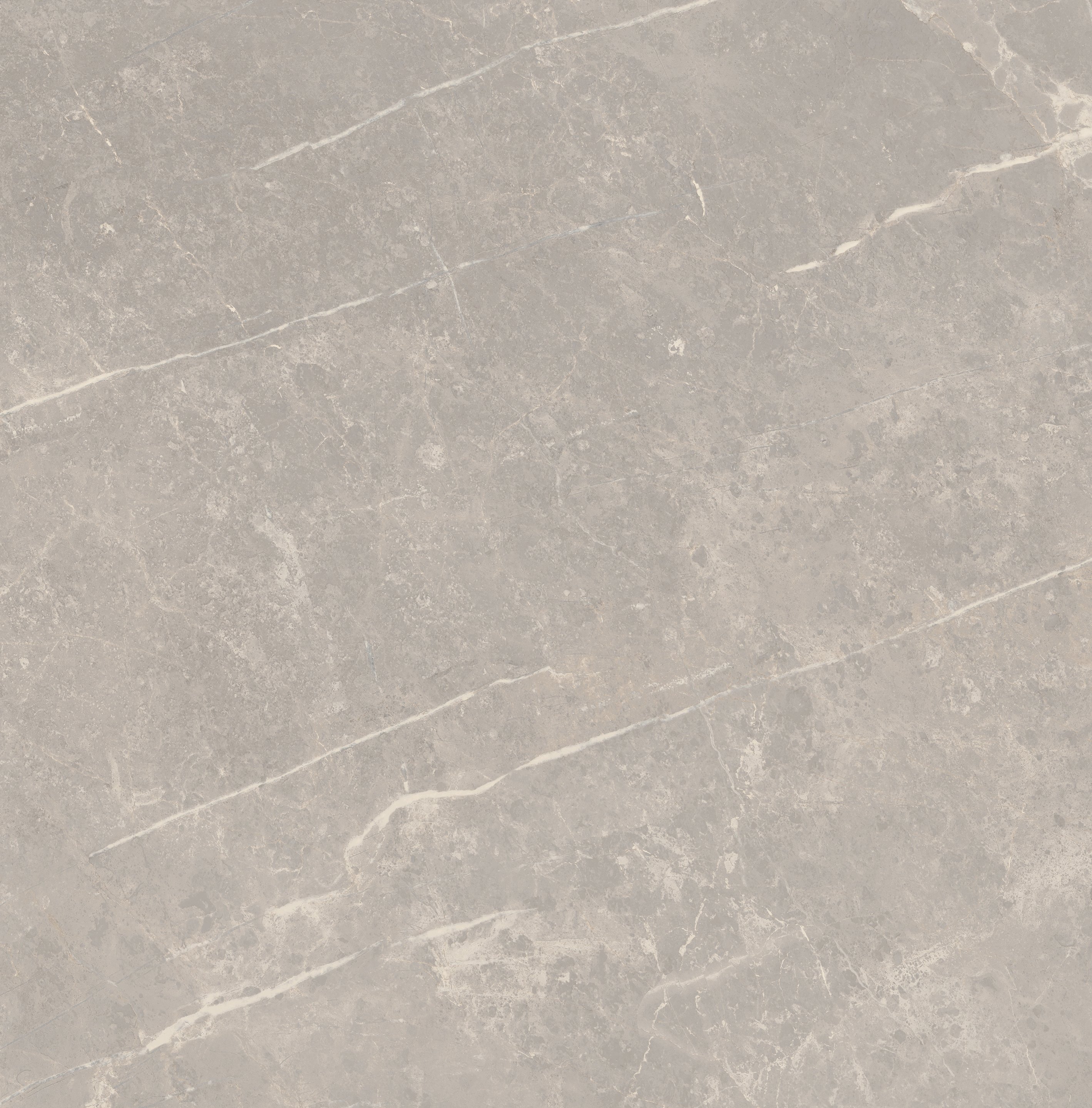 Grey Dolomia 60x60