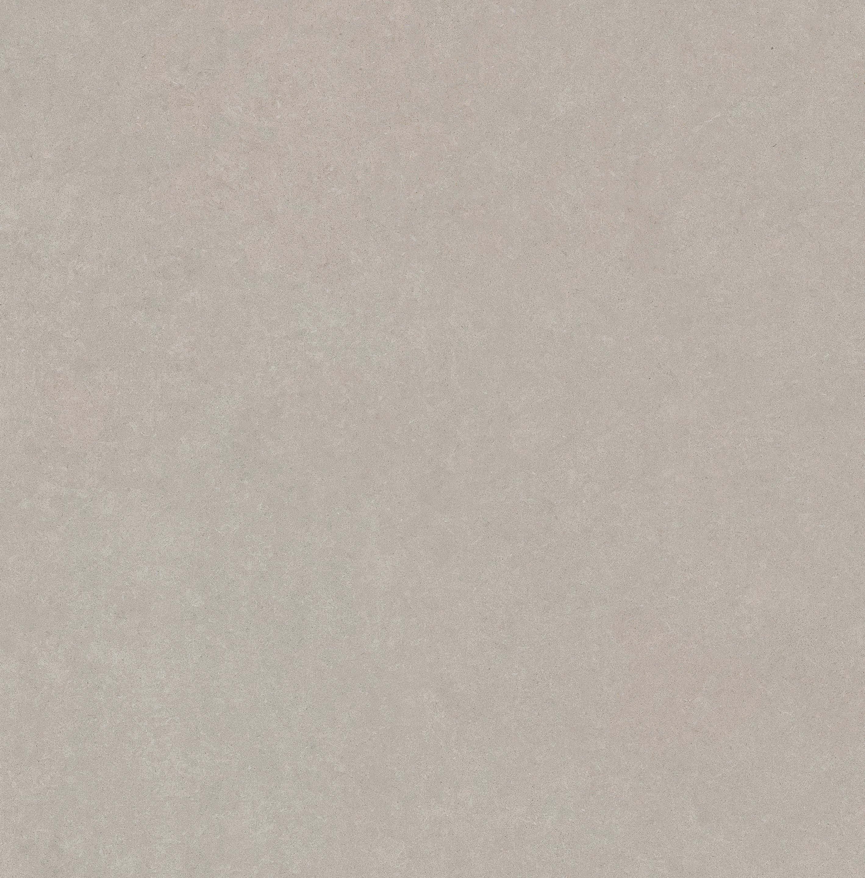 Grey Sandstone 120x120
