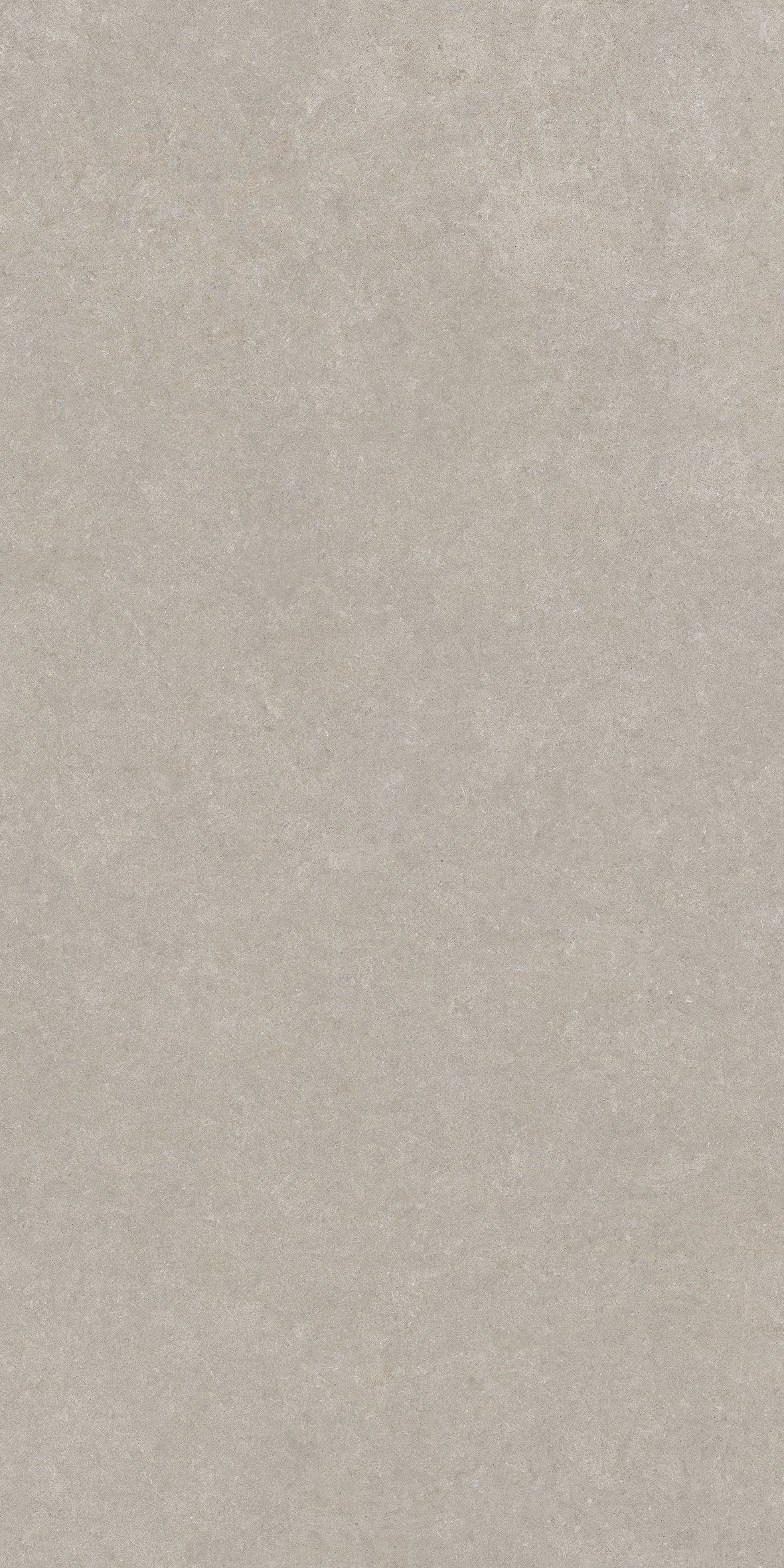 Grey Sandstone 60x120