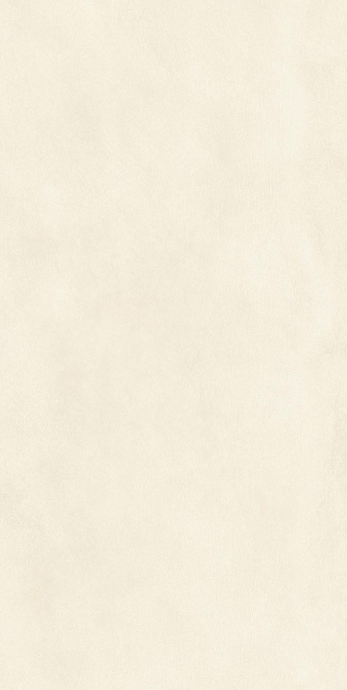 Warm Powder 01 60x120