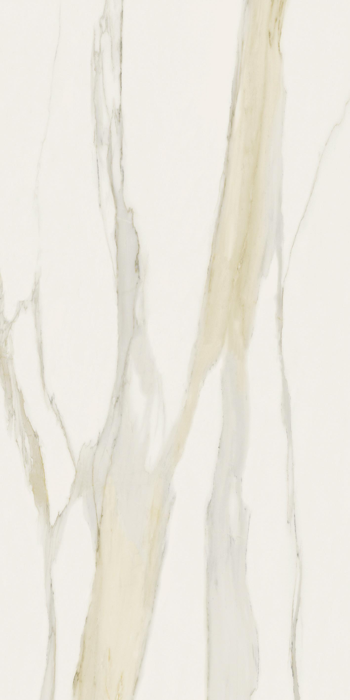 Calacatta Gold 120x240